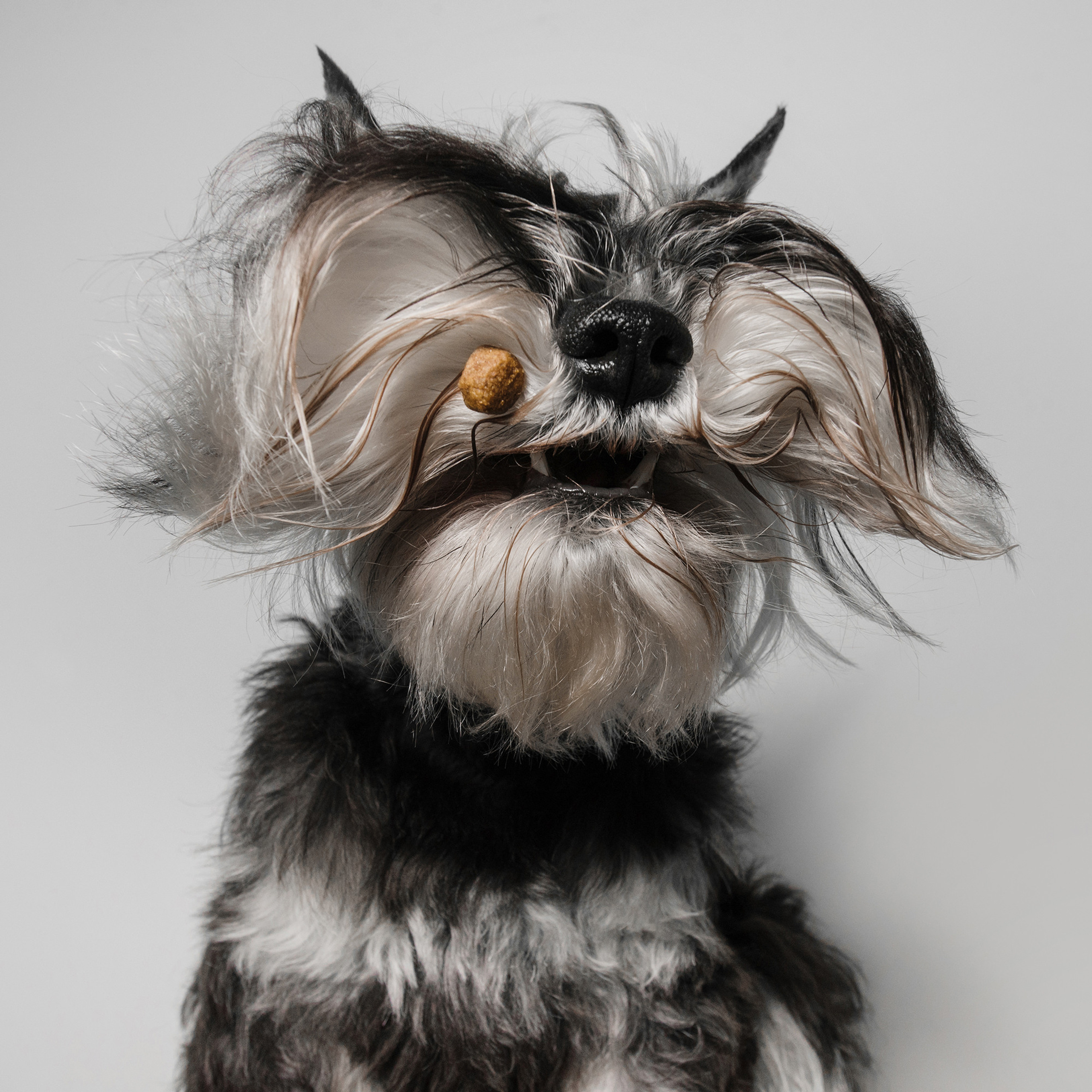 Съёмка с кусочком. Фотограф Анна Тюрина