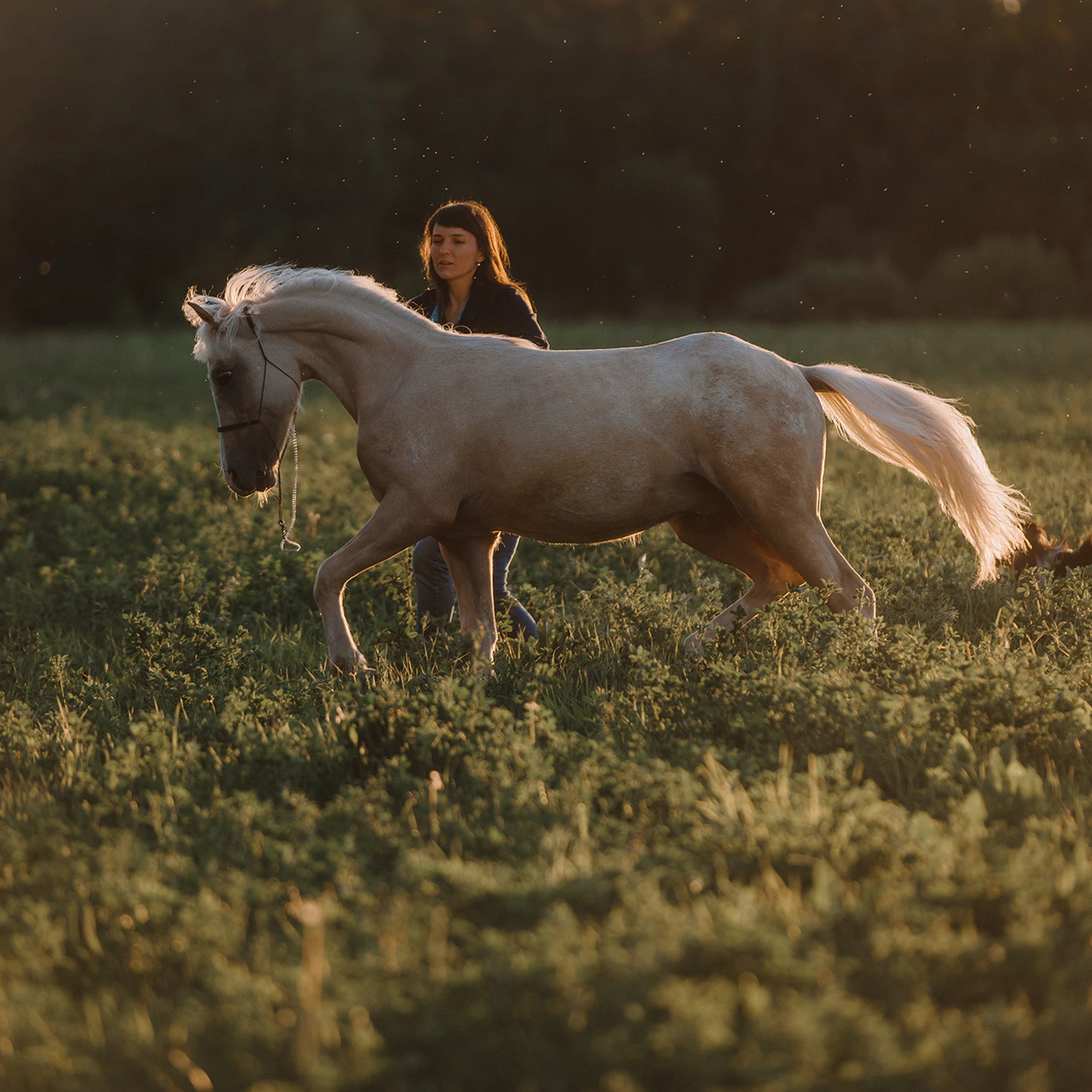 Евгения и семья. Фотограф Анна Тюрина