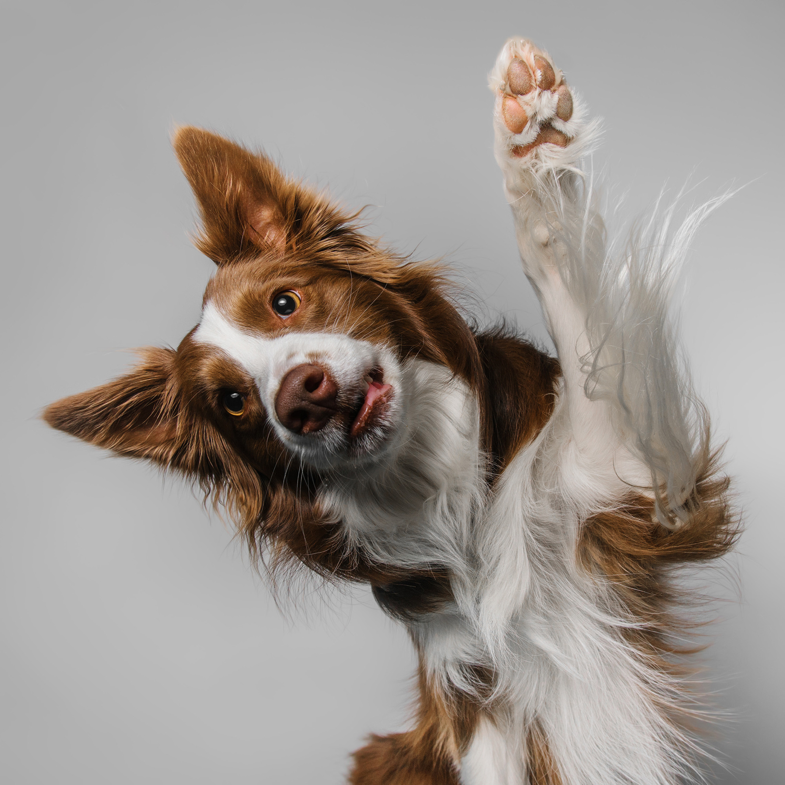 Съёмка с кусочком. Фотограф Анна Тюрина