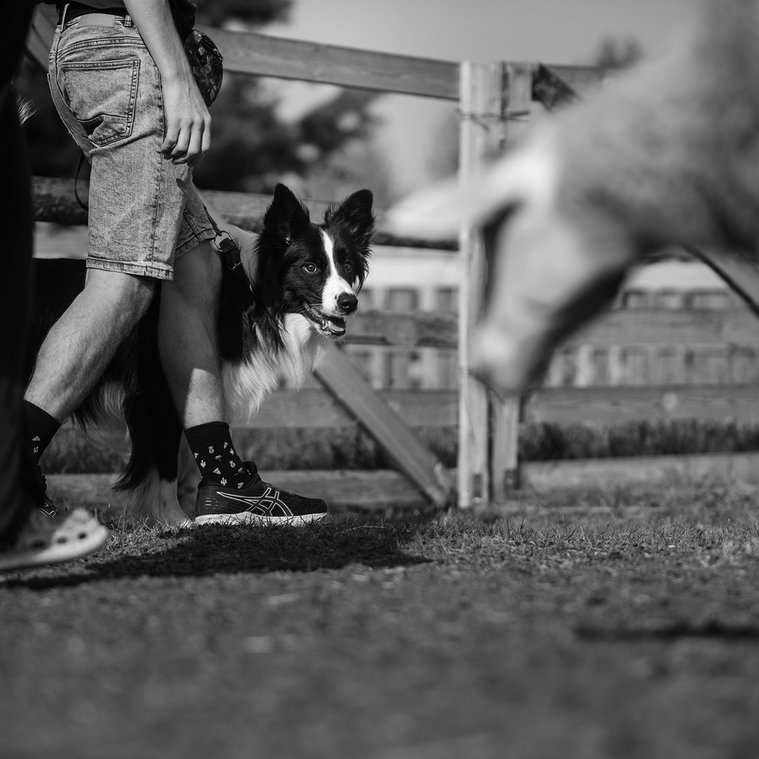 Пастьба. Фотограф Анна Тюрина