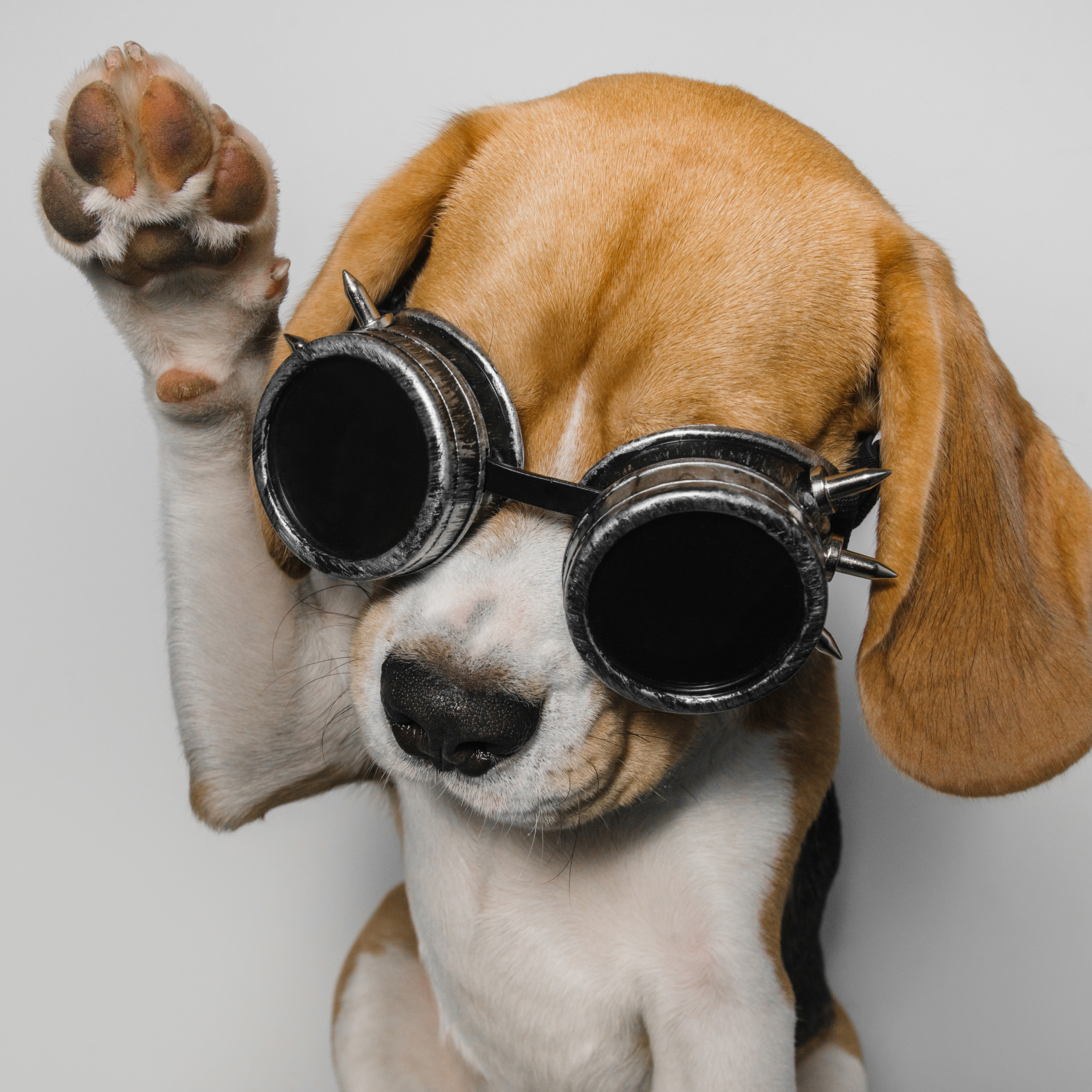 Съёмка с кусочком. Фотограф Анна Тюрина