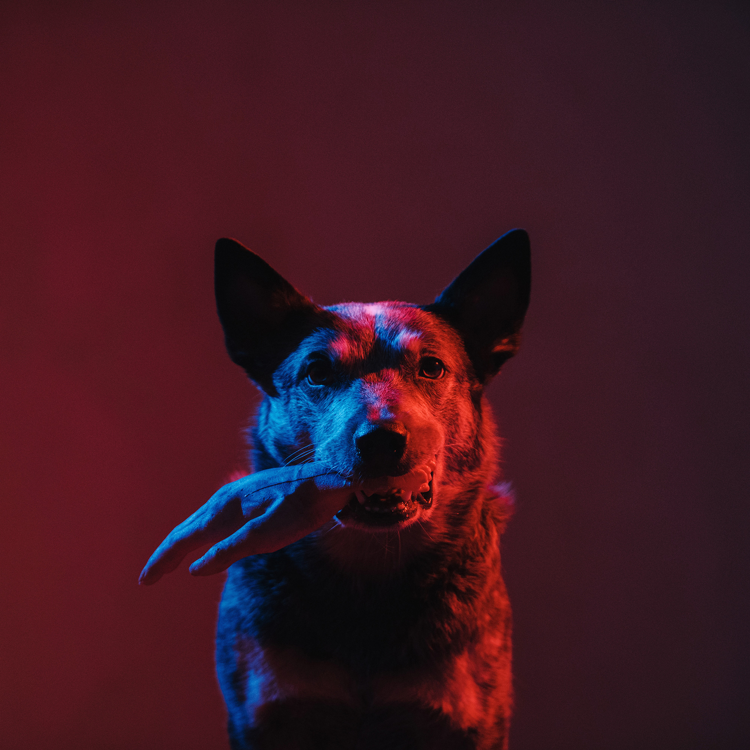 ПОРТФОЛИО. Фотограф Анна Тюрина