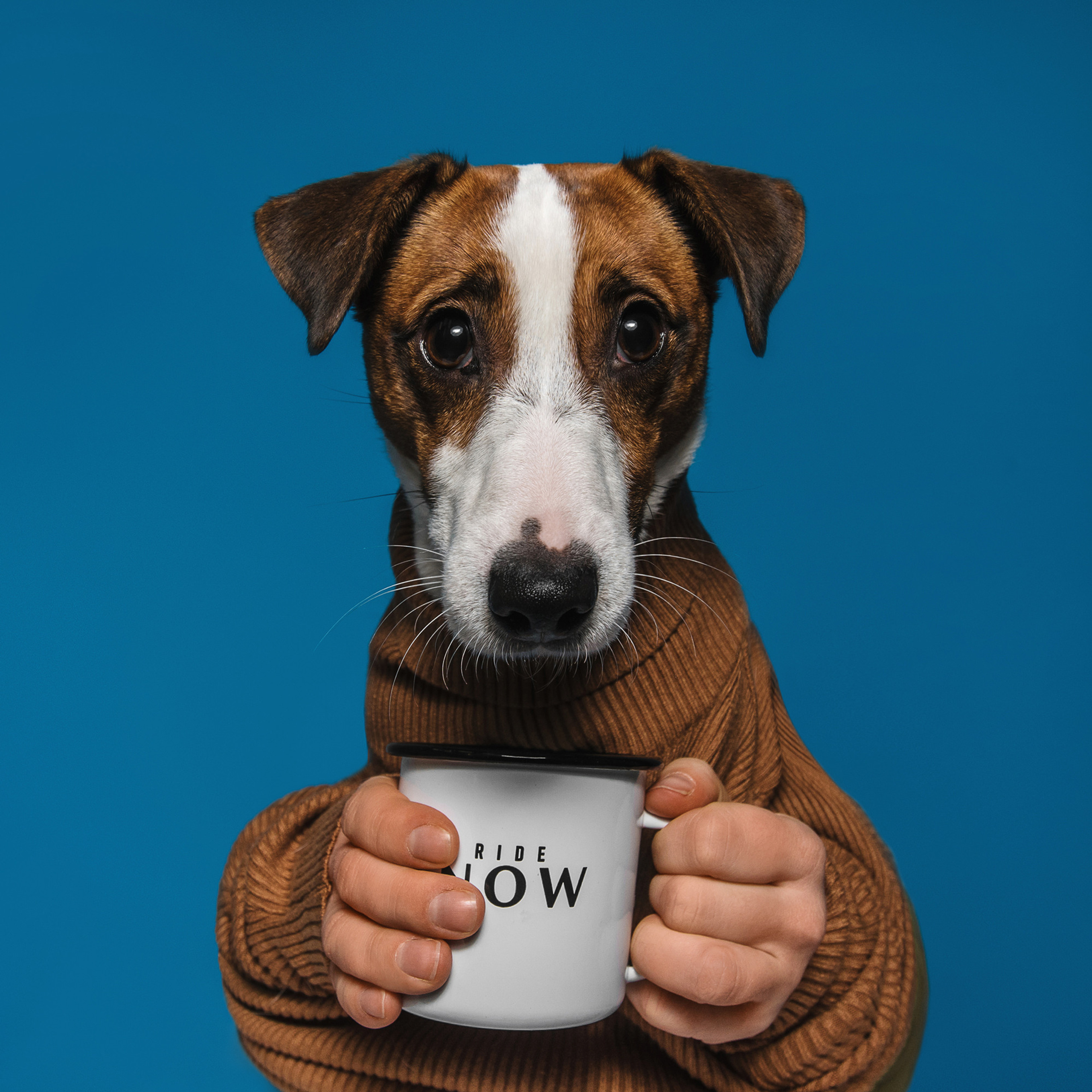 Фотодень в студии. Фотограф Анна Тюрина