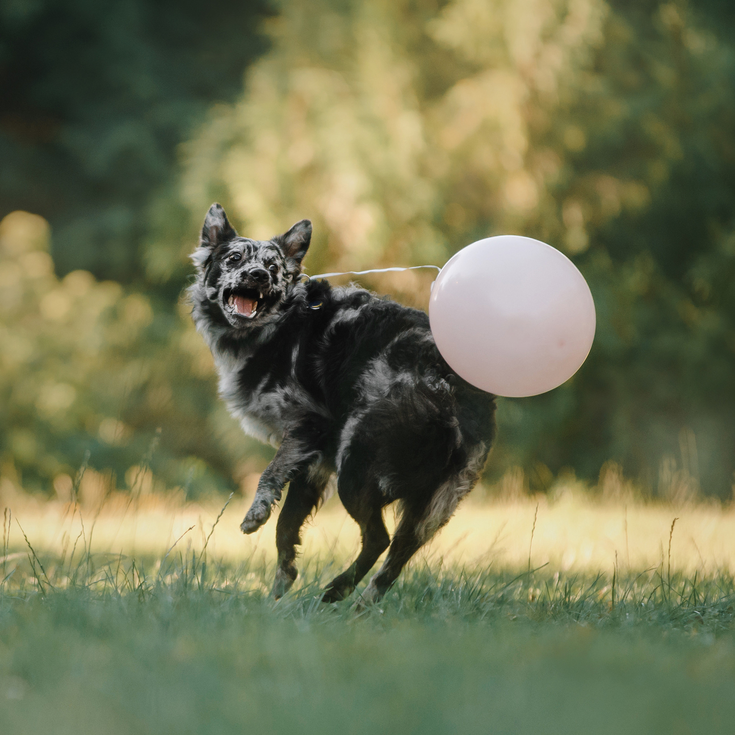 Ира, Инди и Сеня. Фотограф Анна Тюрина