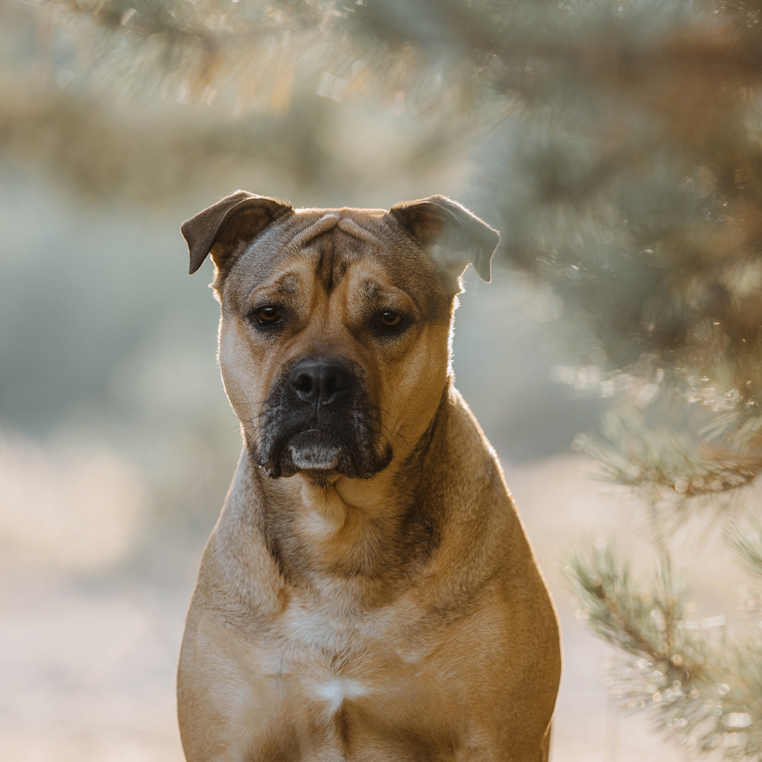 Ка де бо Лина. Фотограф Анна Тюрина