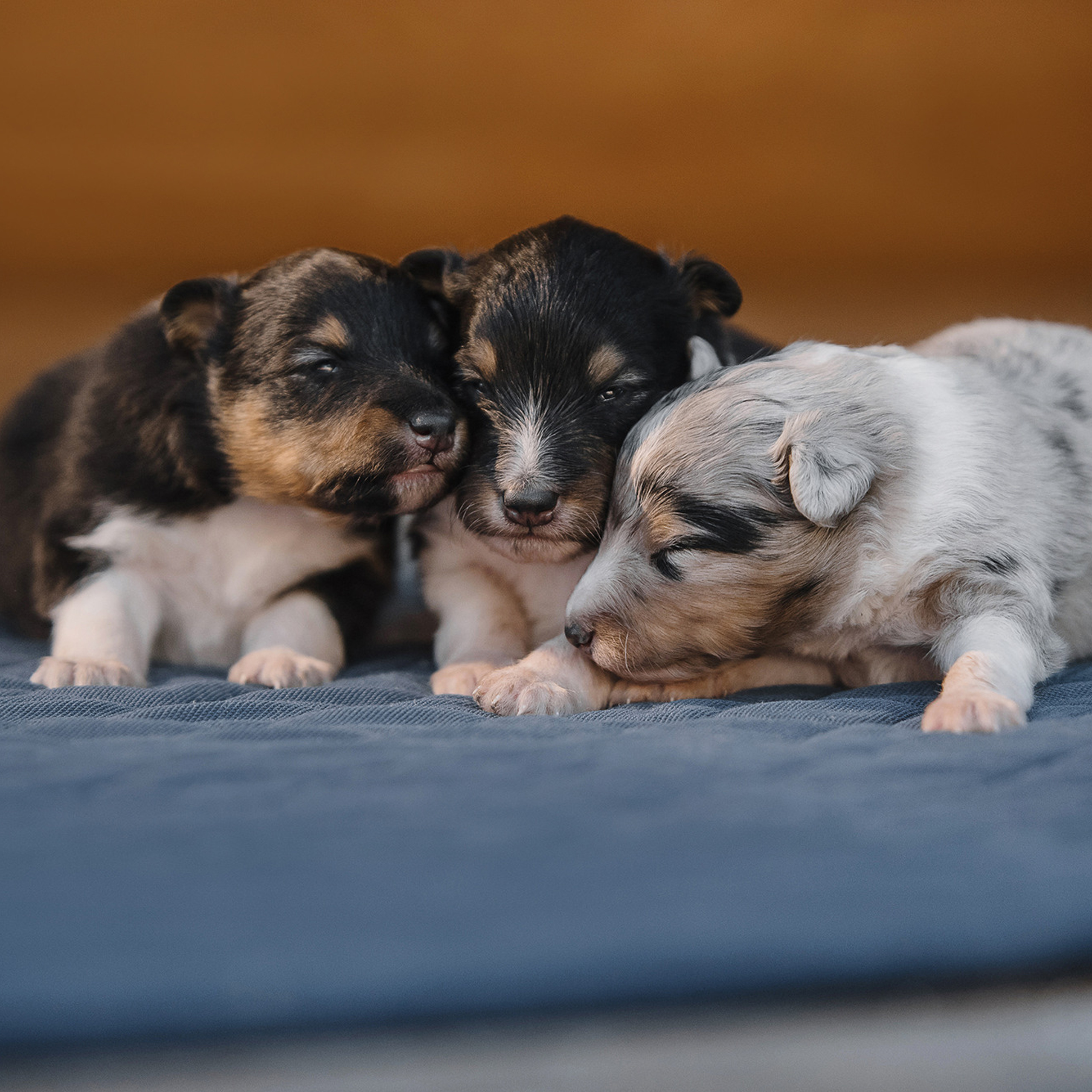 Евгения и семья. Фотограф Анна Тюрина