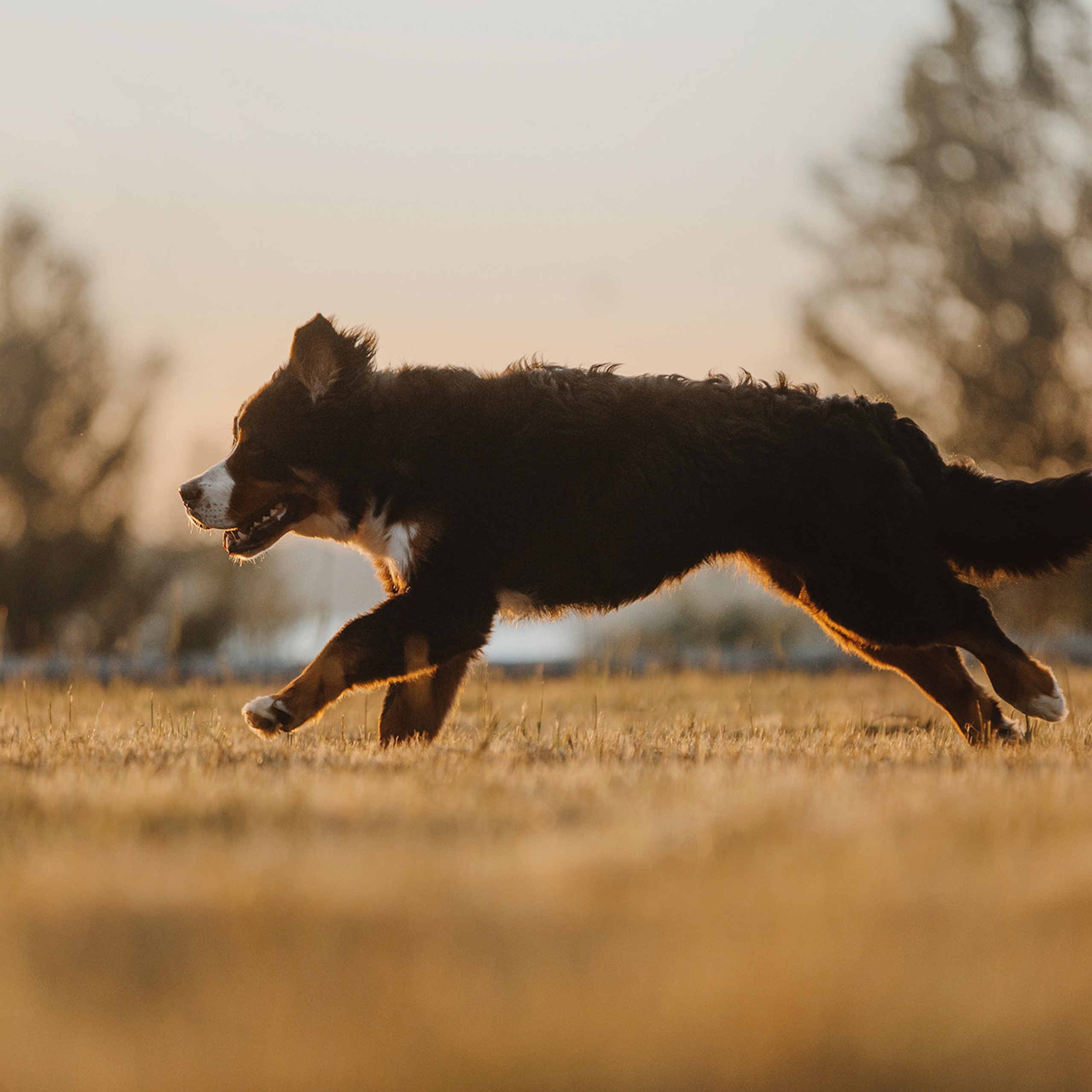 Оля и семья. Фотограф Анна Тюрина