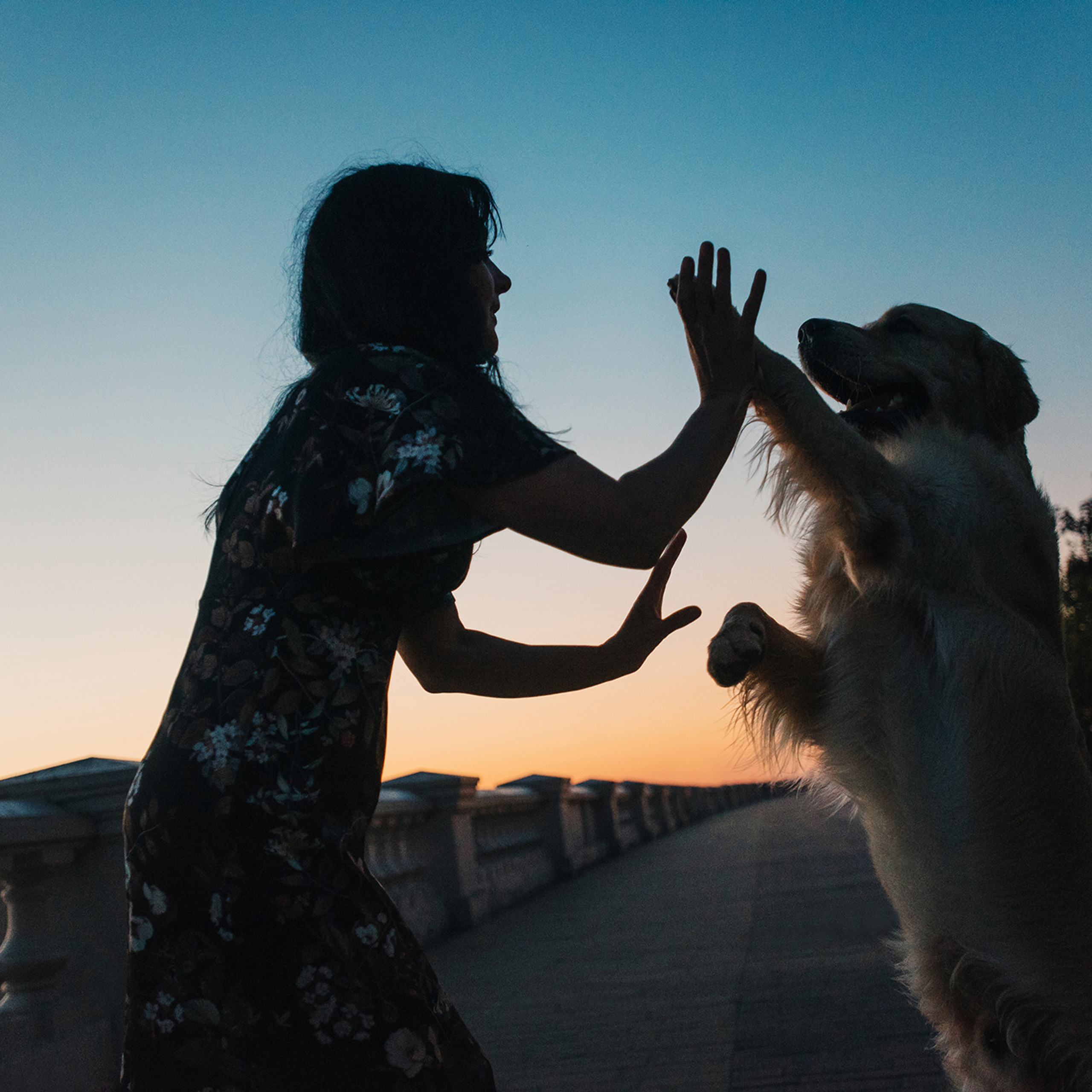 Светлана и Чарли. Фотограф Анна Тюрина