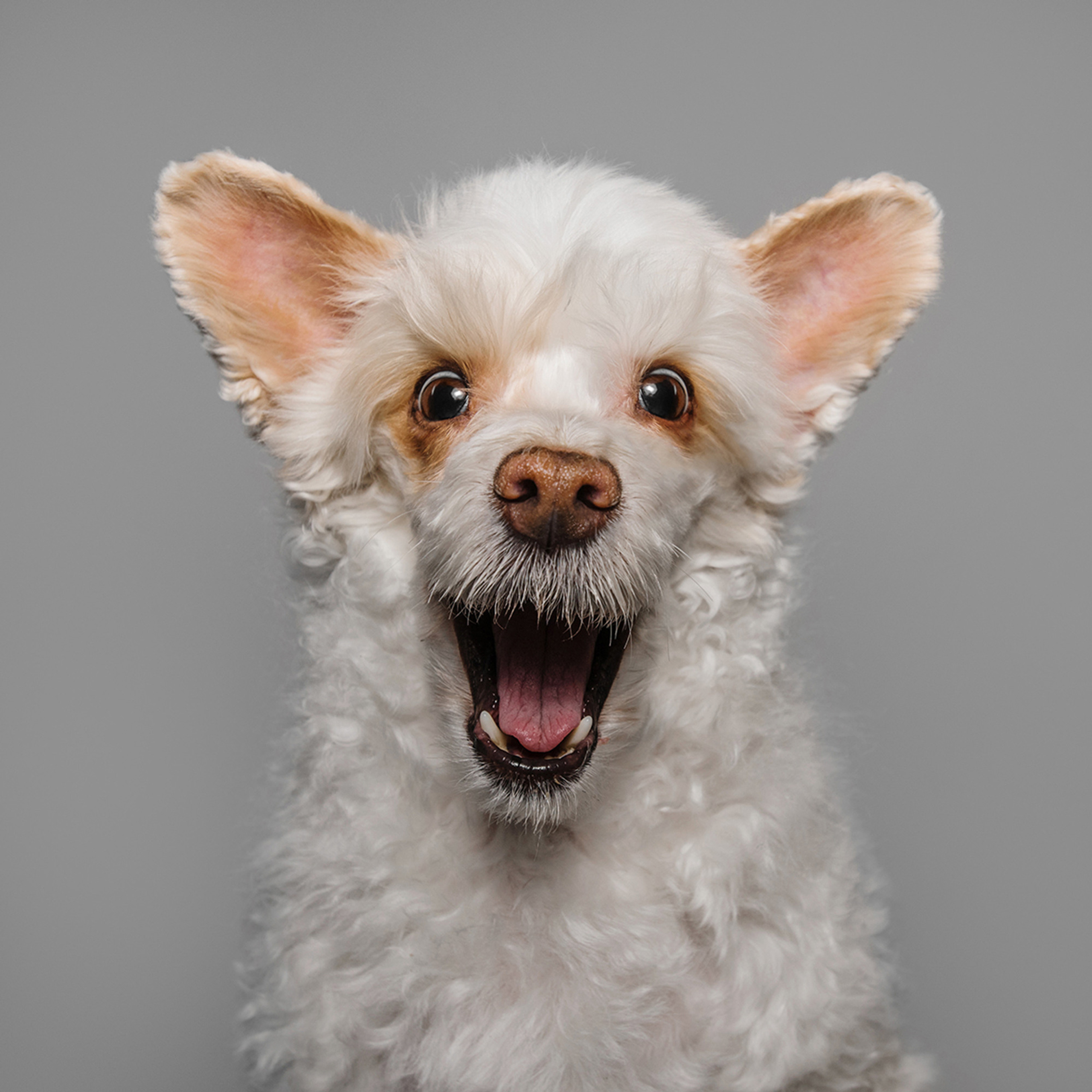 Съёмка с кусочком. Фотограф Анна Тюрина