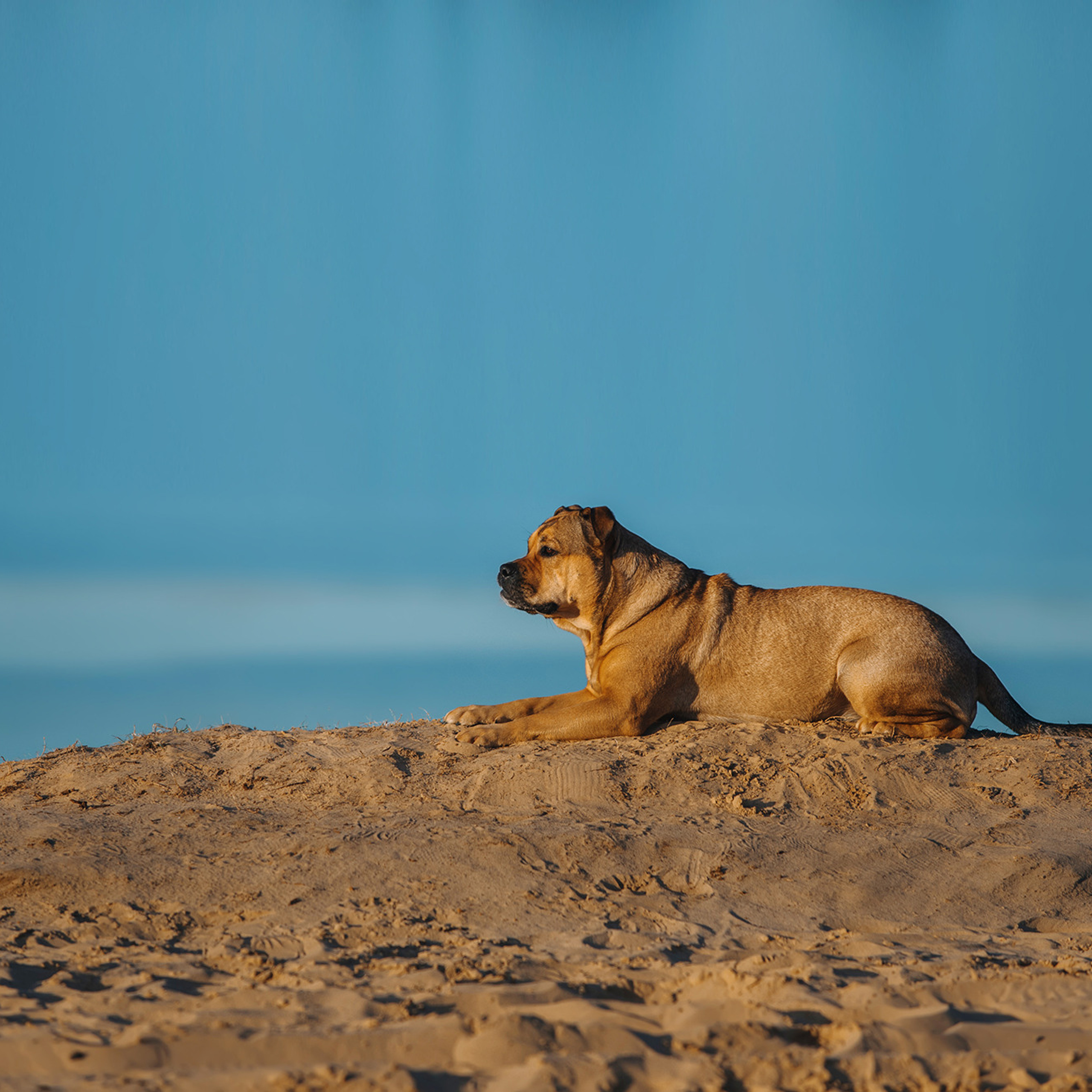 Ка де бо Лина. Фотограф Анна Тюрина