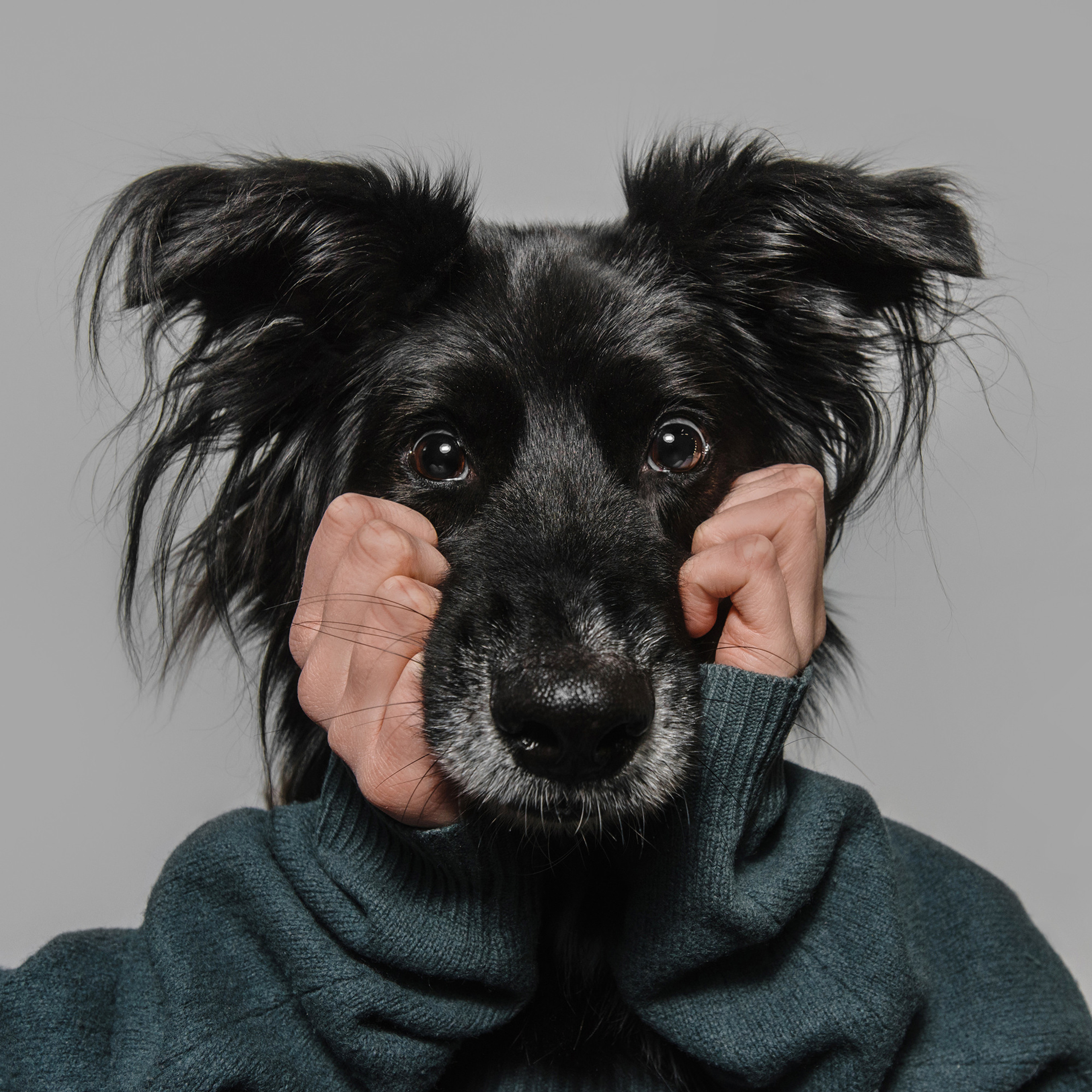 Фотодень в студии. Фотограф Анна Тюрина