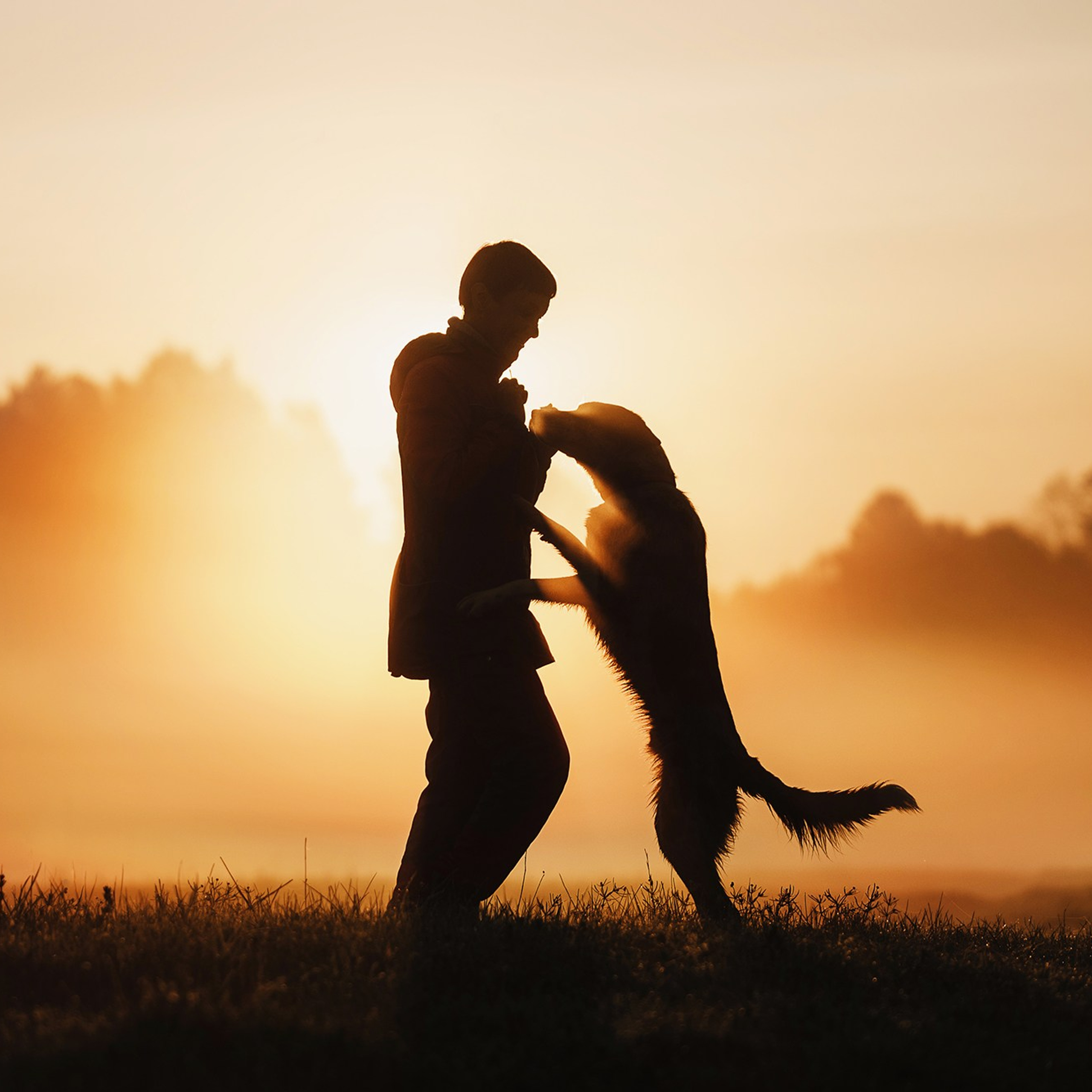 Человек и его друзья. Фотограф Анна Тюрина