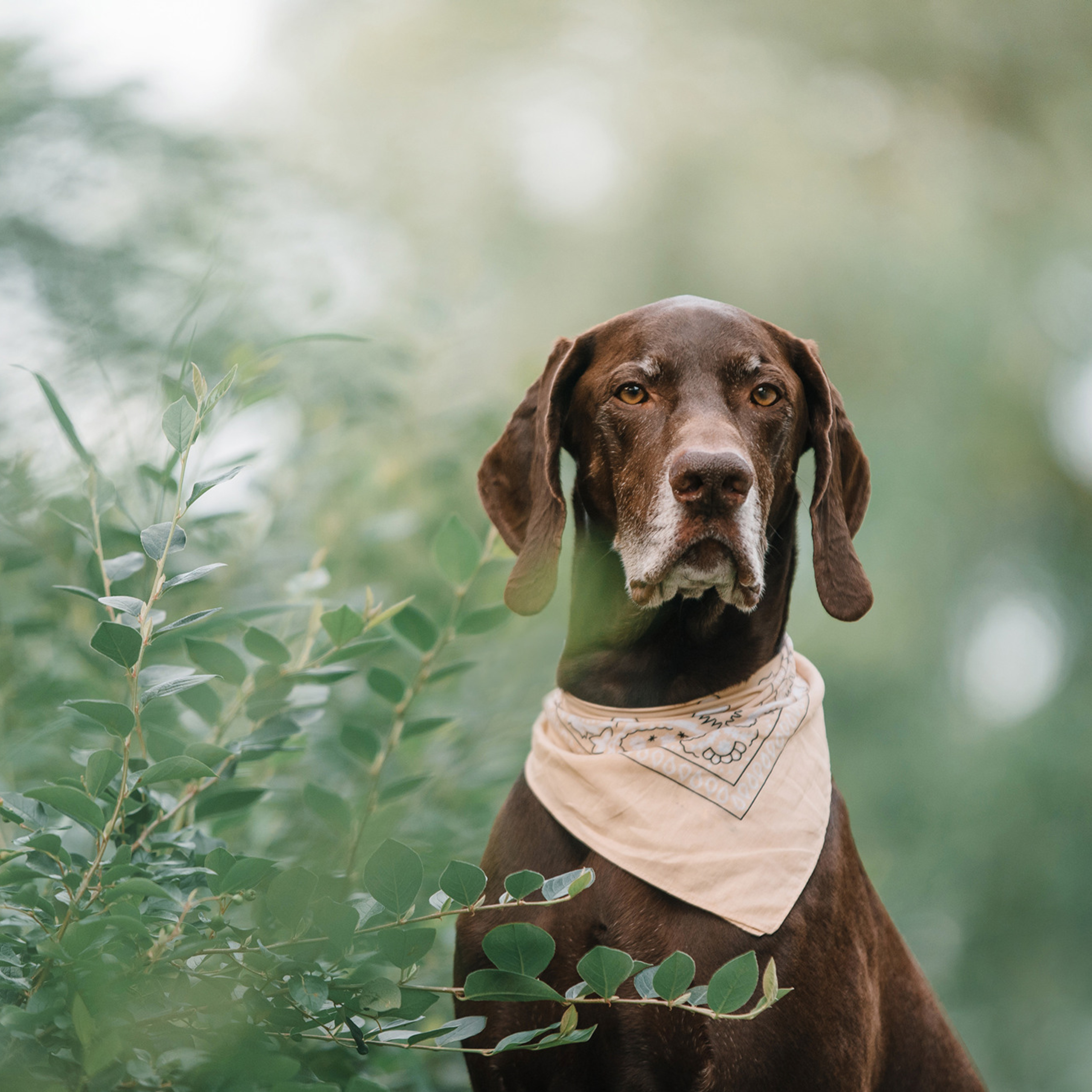 Ира и Клайд. Фотограф Анна Тюрина