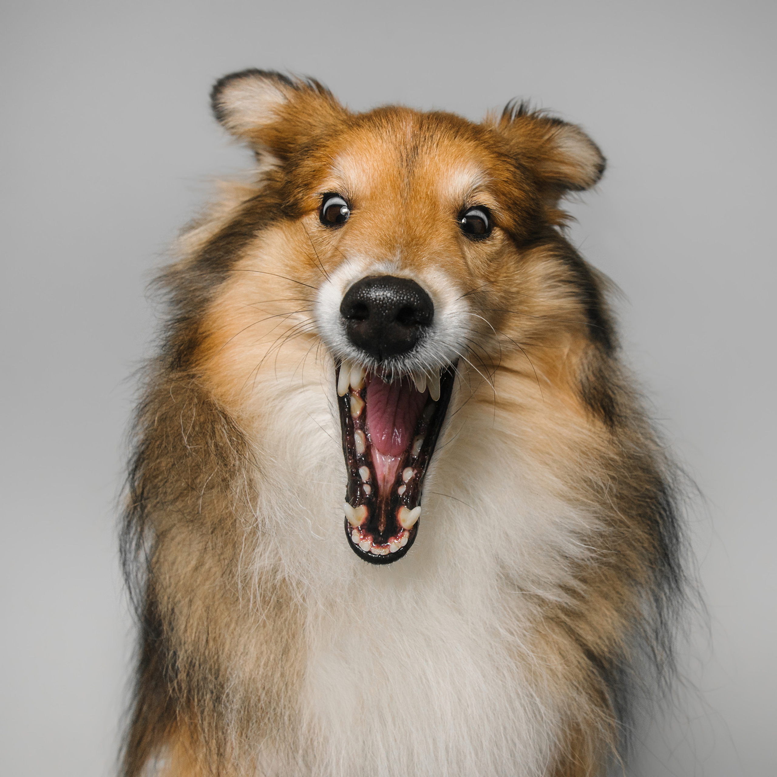 Съёмка с кусочком. Фотограф Анна Тюрина