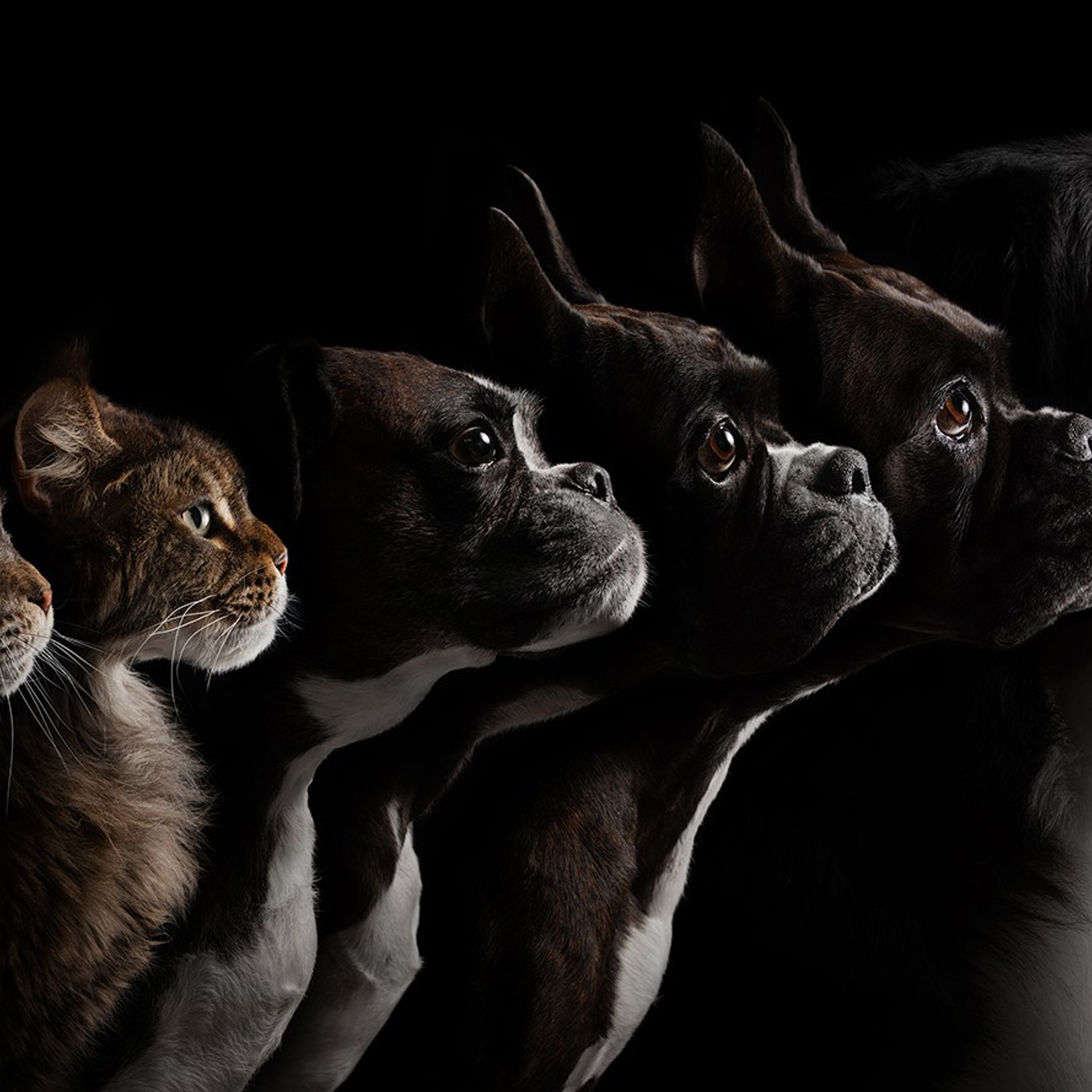 Проект портреты на чёрном фоне. Фотограф Анна Тюрина