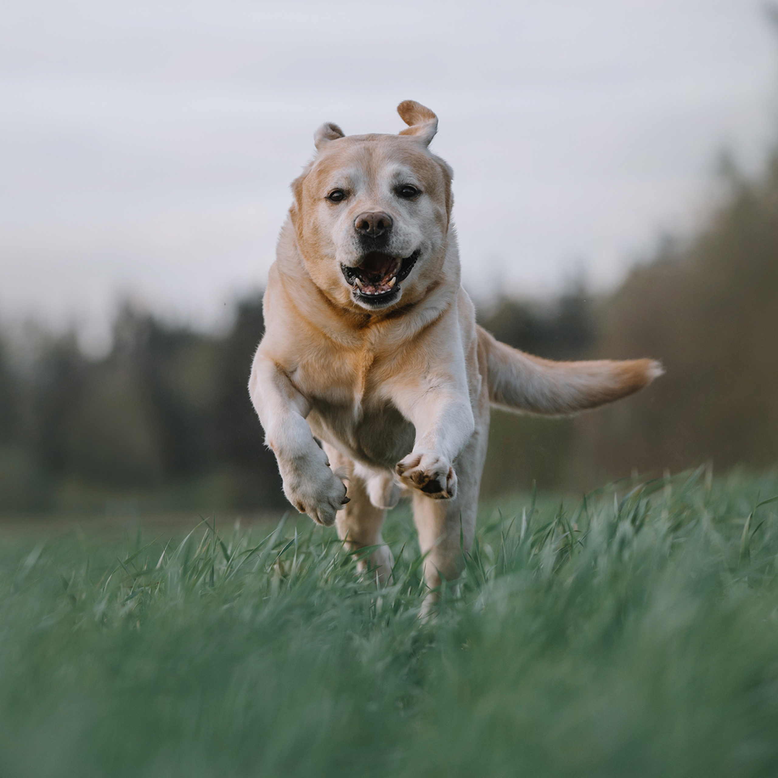 Большая семья. Фотограф Анна Тюрина