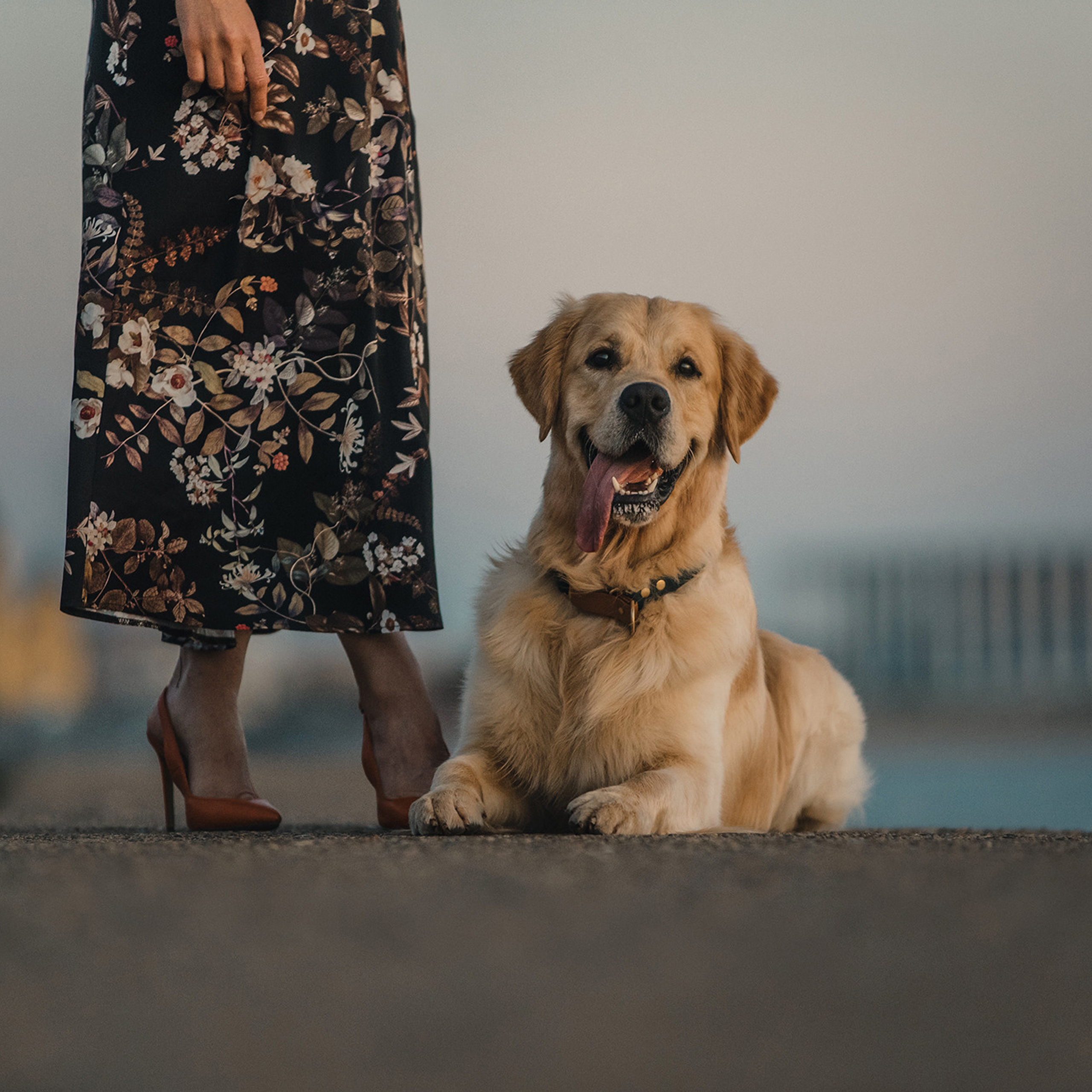 Светлана и Чарли. Фотограф Анна Тюрина