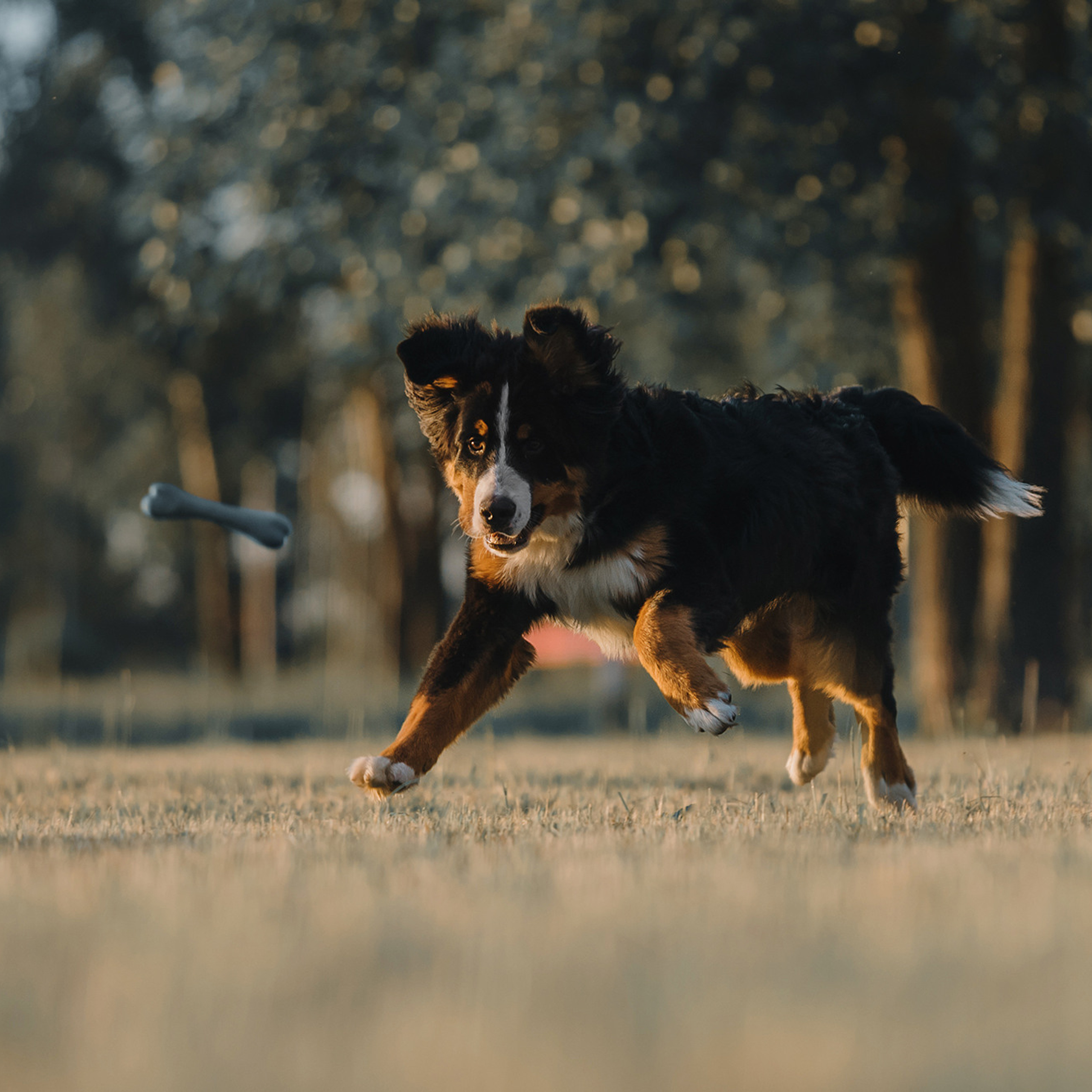 Оля и семья. Фотограф Анна Тюрина