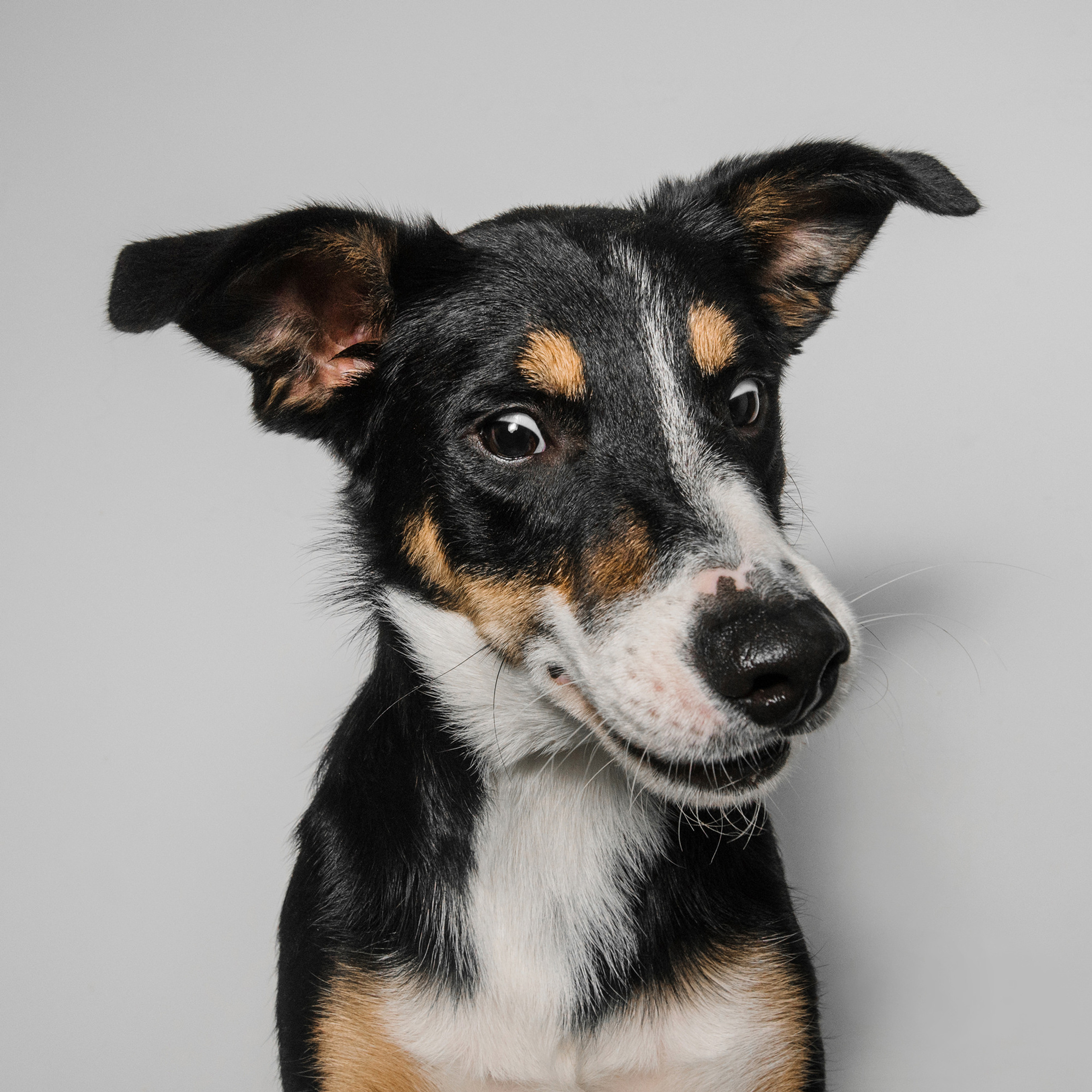 Съёмка с кусочком. Фотограф Анна Тюрина