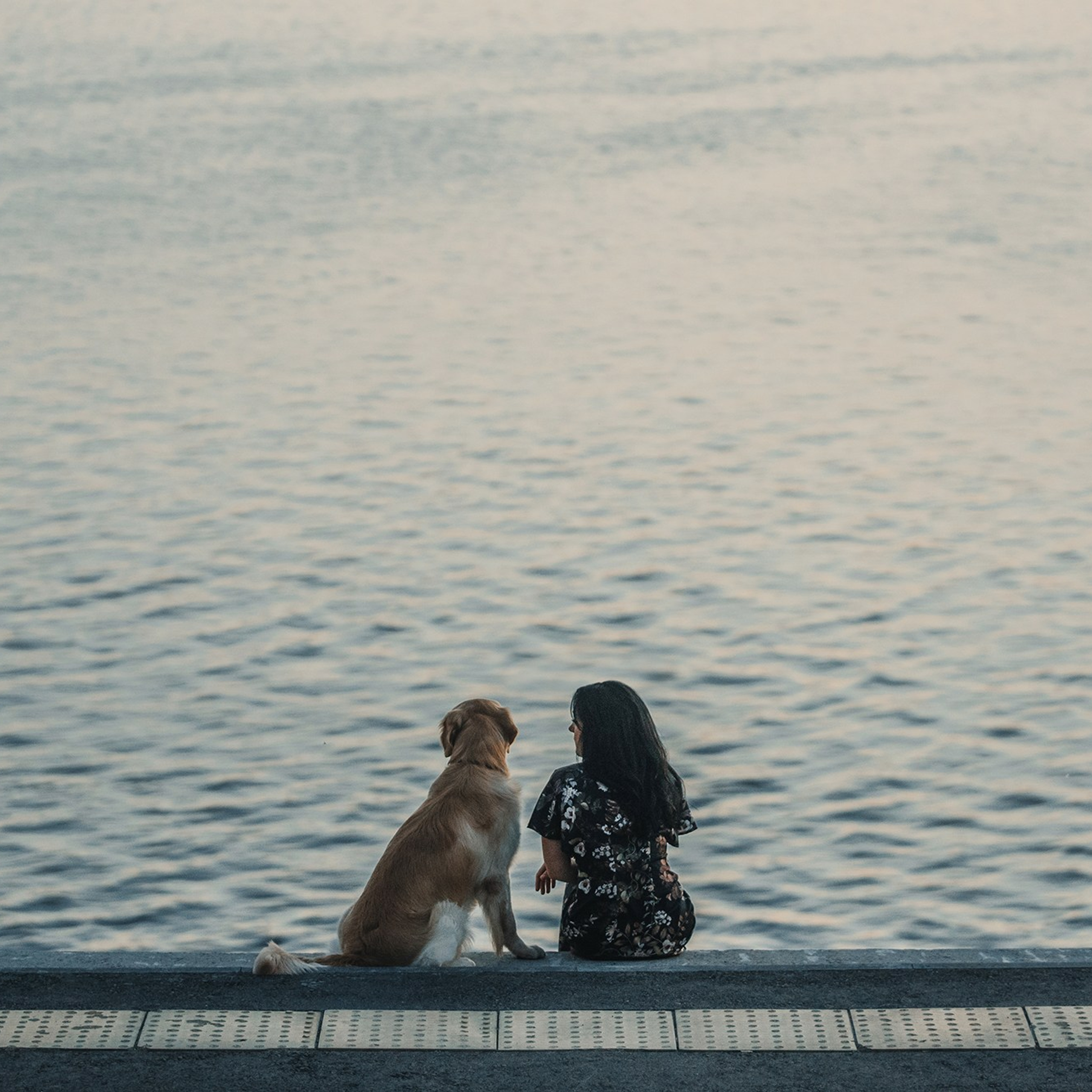 Человек и его друзья. Фотограф Анна Тюрина