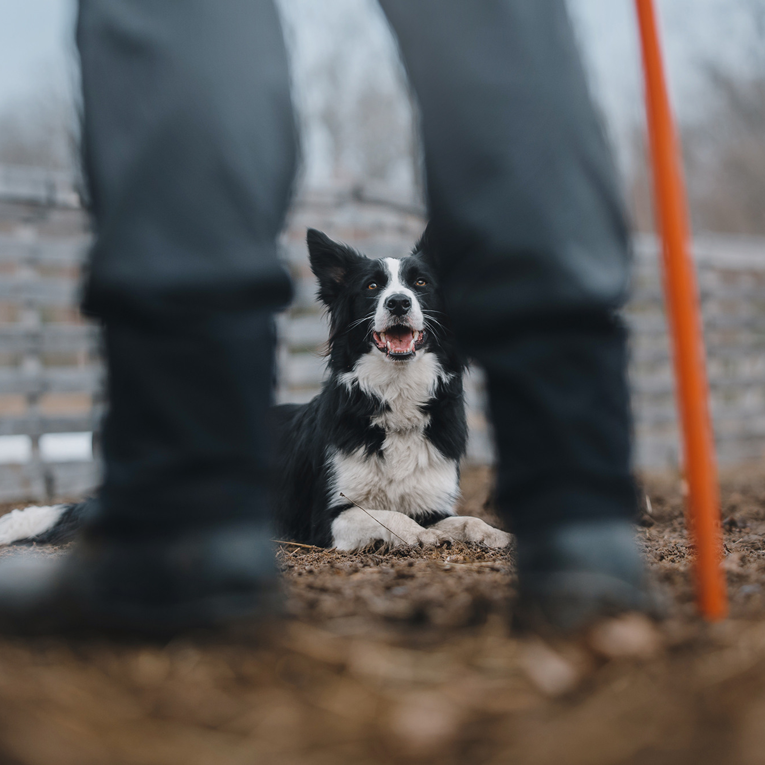 Пастьба. Фотограф Анна Тюрина