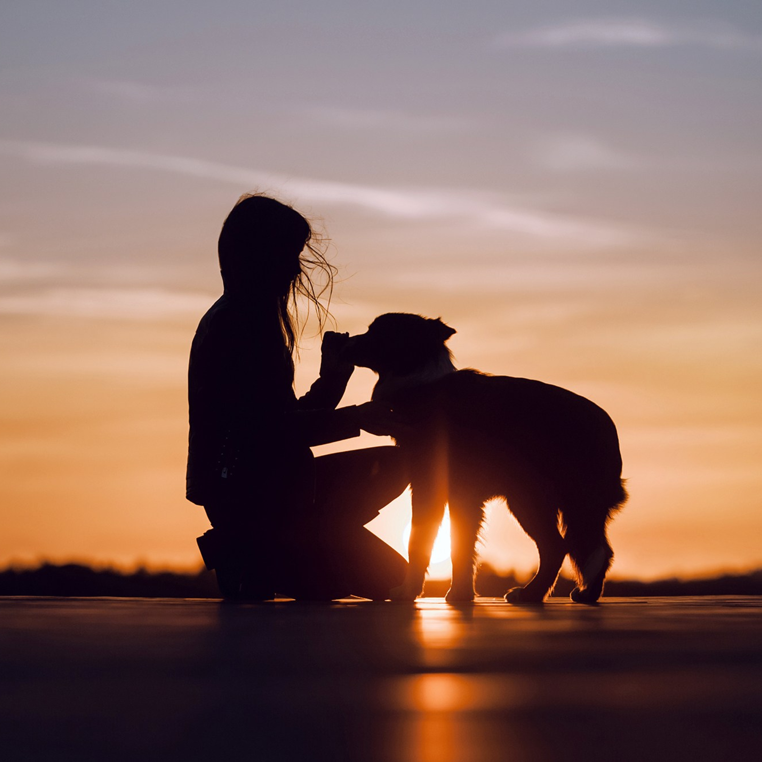 Человек и его друзья. Фотограф Анна Тюрина