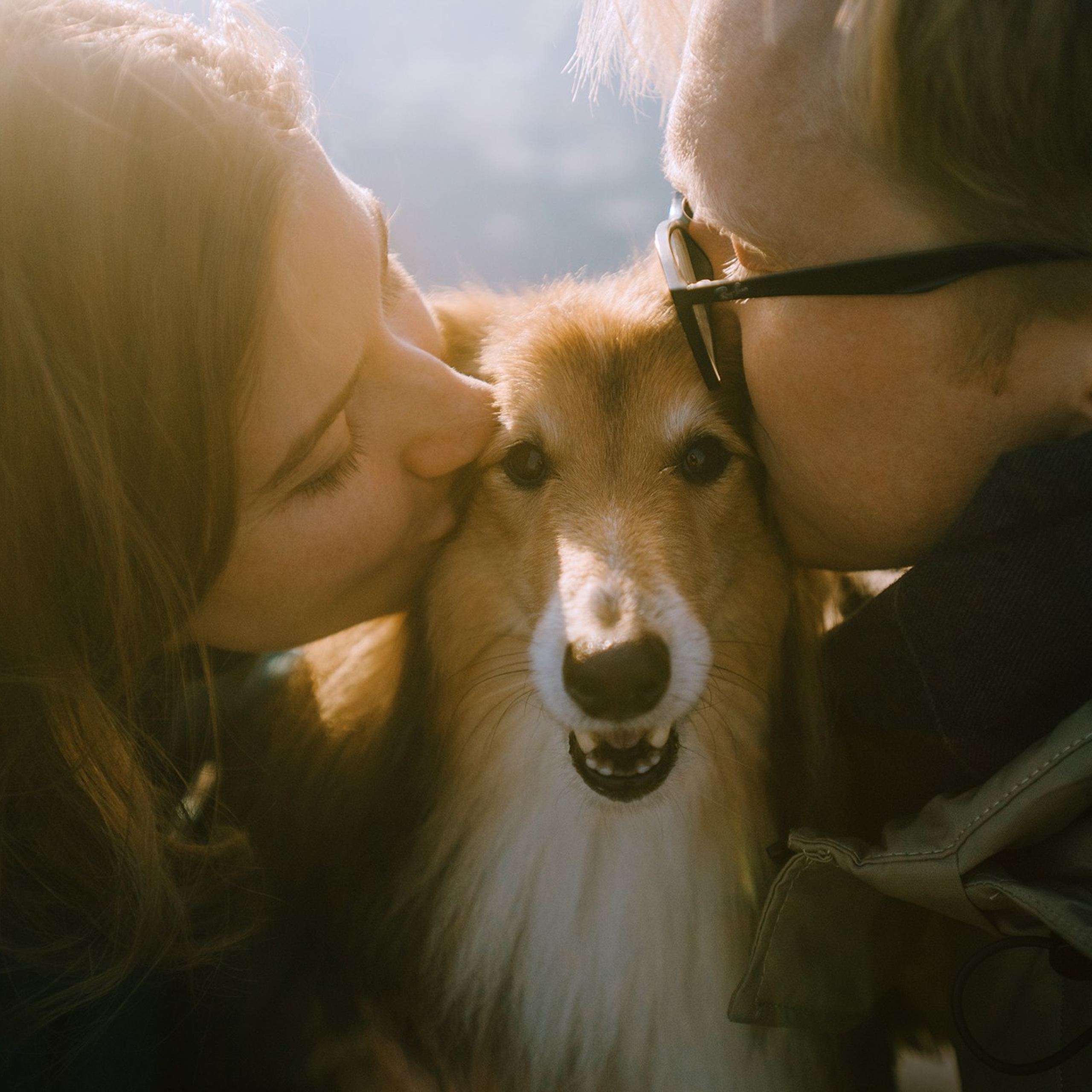Человек и его друзья. Фотограф Анна Тюрина