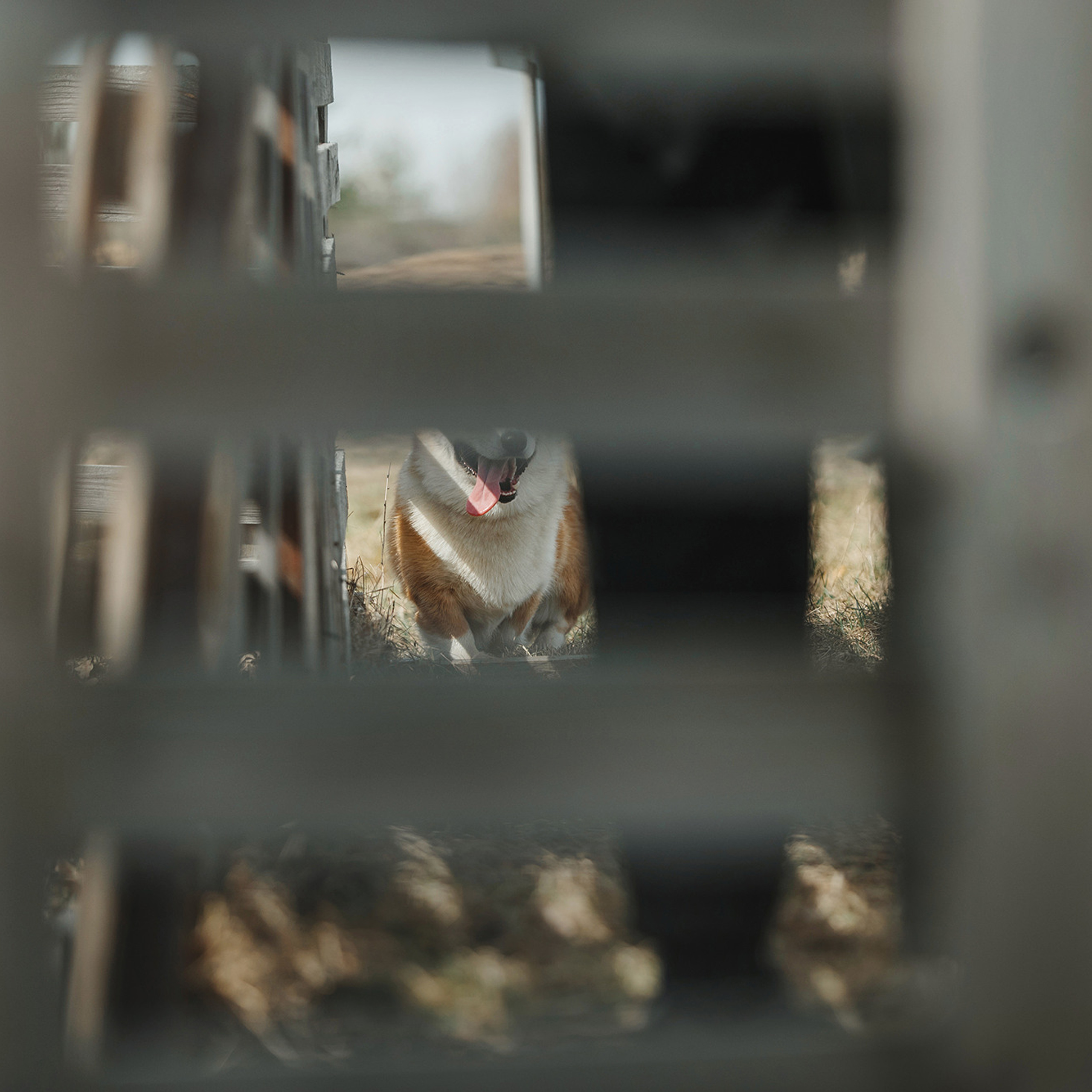 Пастьба. Фотограф Анна Тюрина