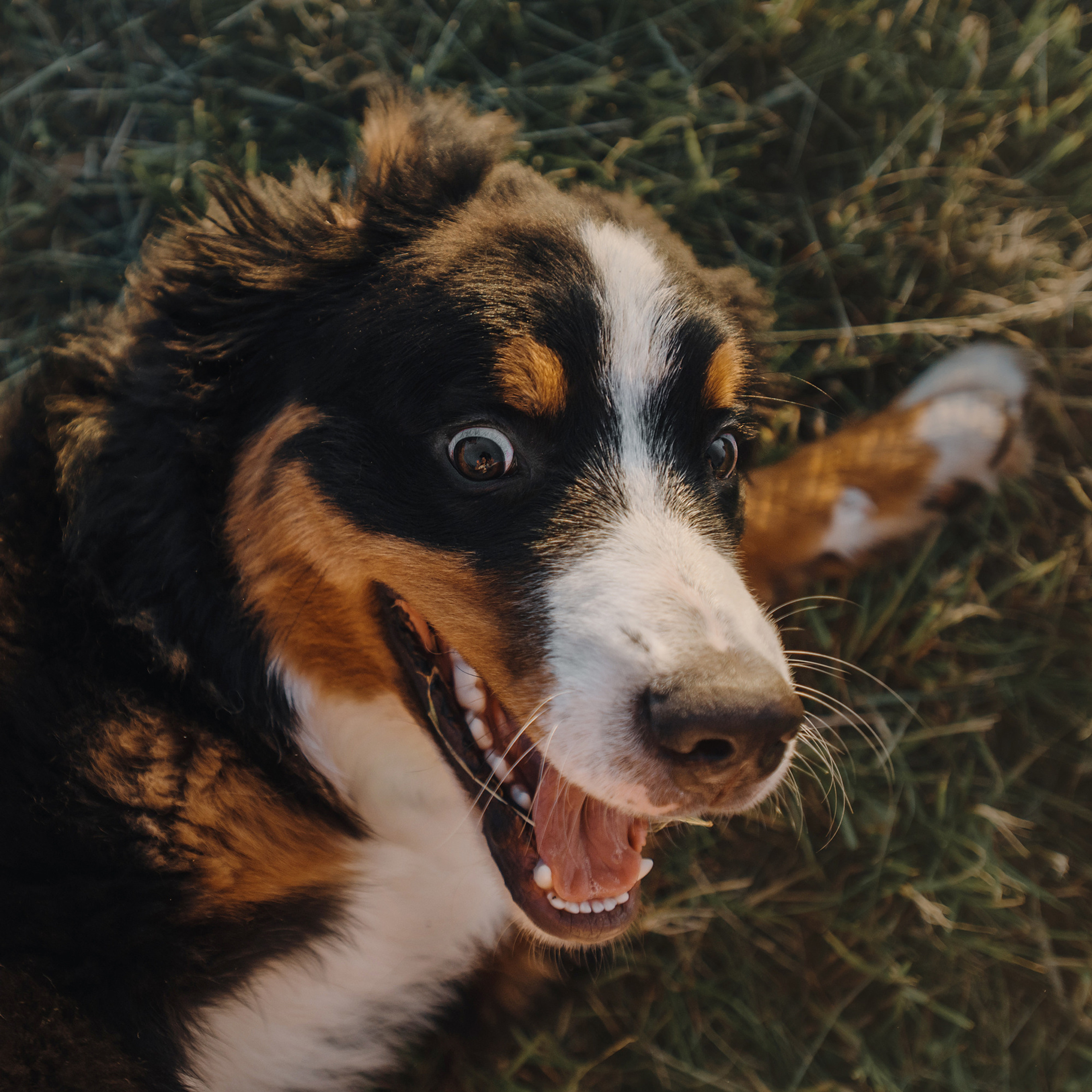 Оля и семья. Фотограф Анна Тюрина
