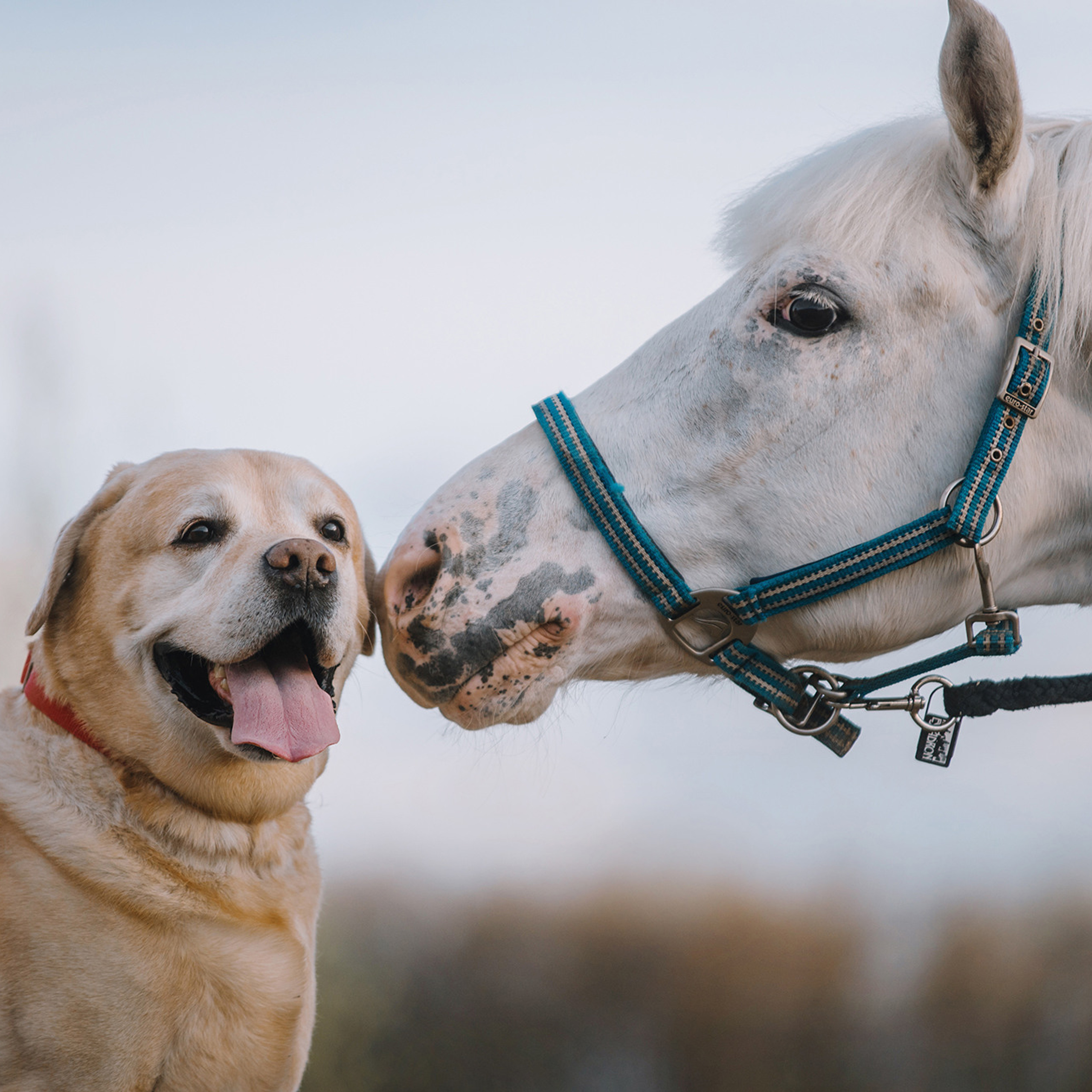Большая семья. Фотограф Анна Тюрина
