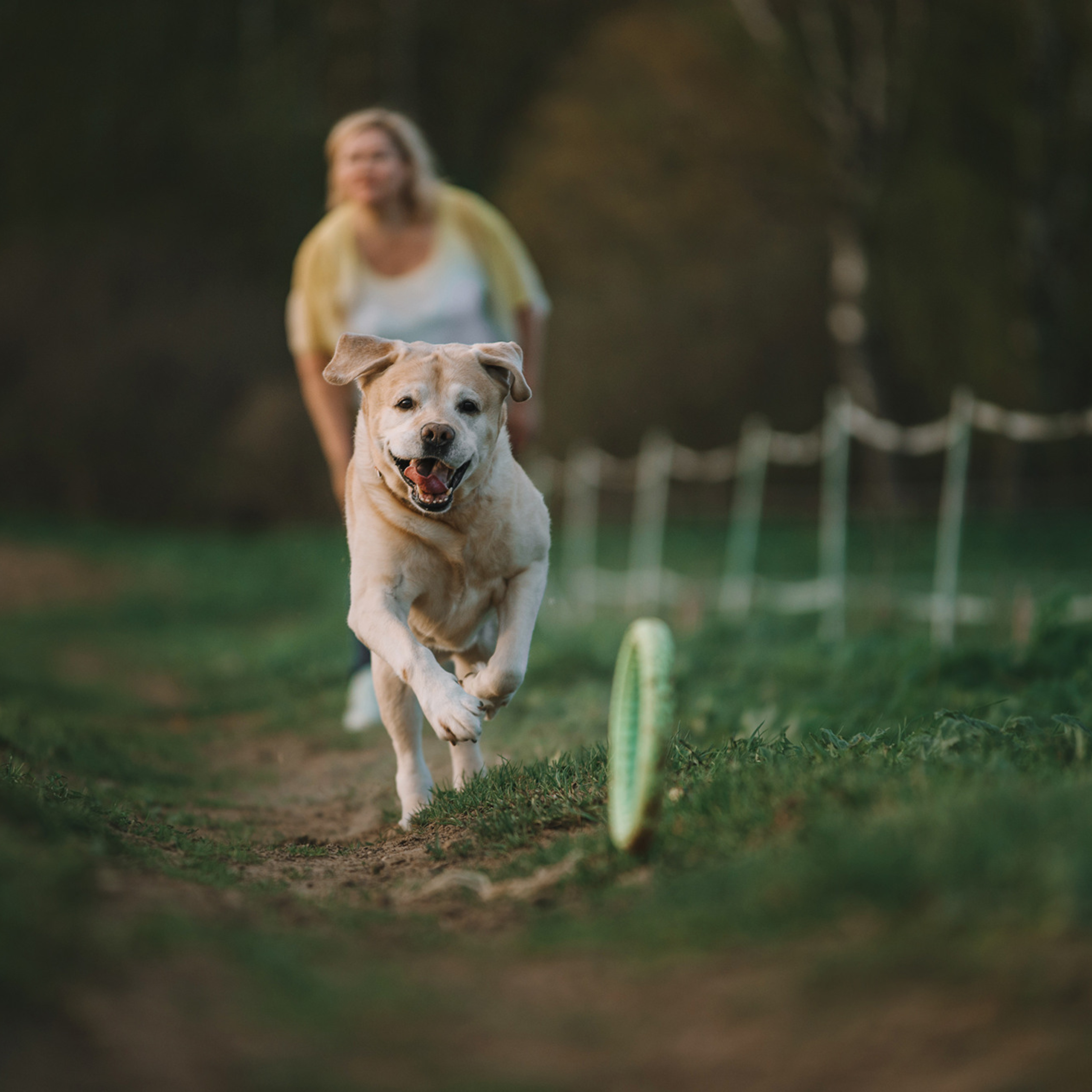 Большая семья. Фотограф Анна Тюрина