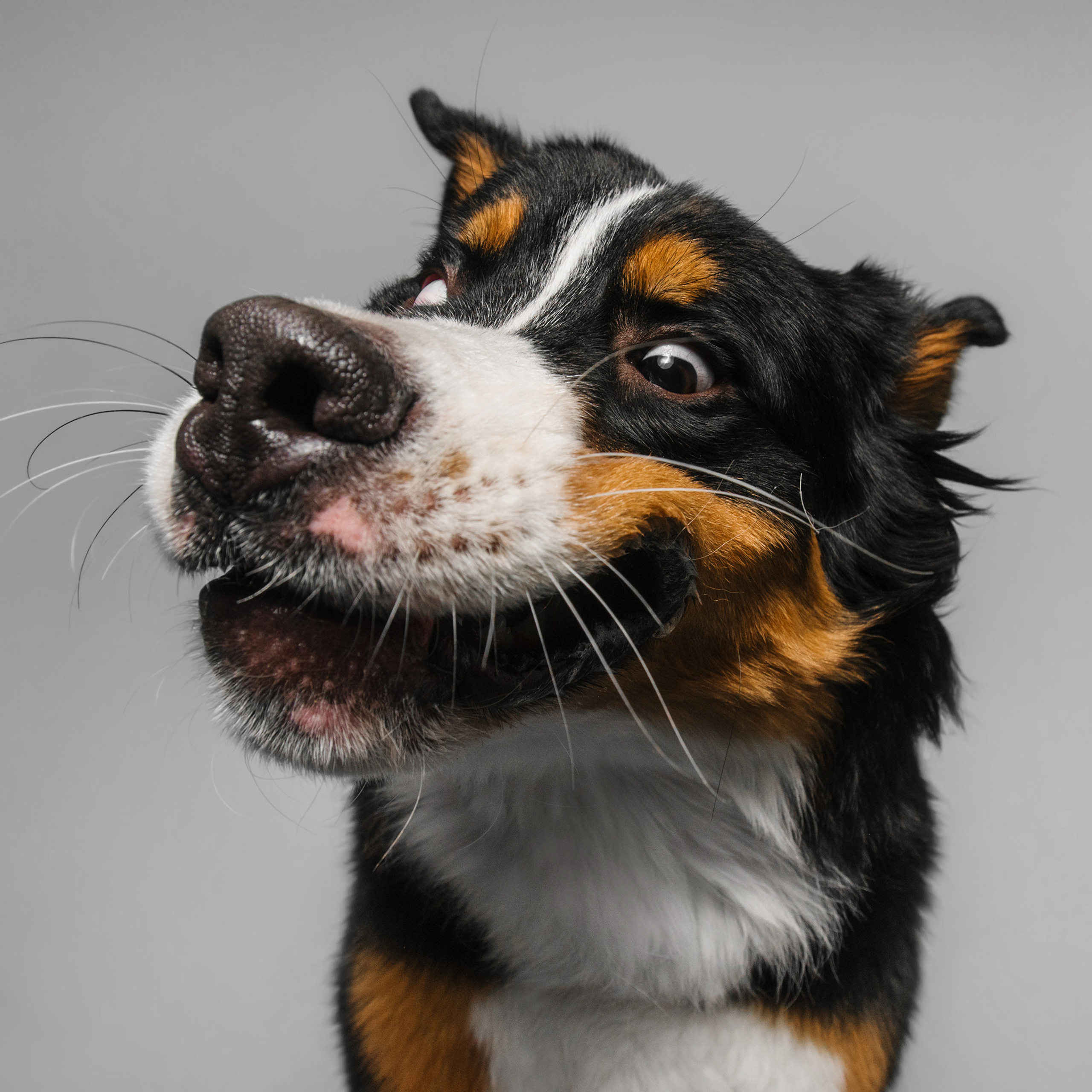 Съёмка с кусочком. Фотограф Анна Тюрина