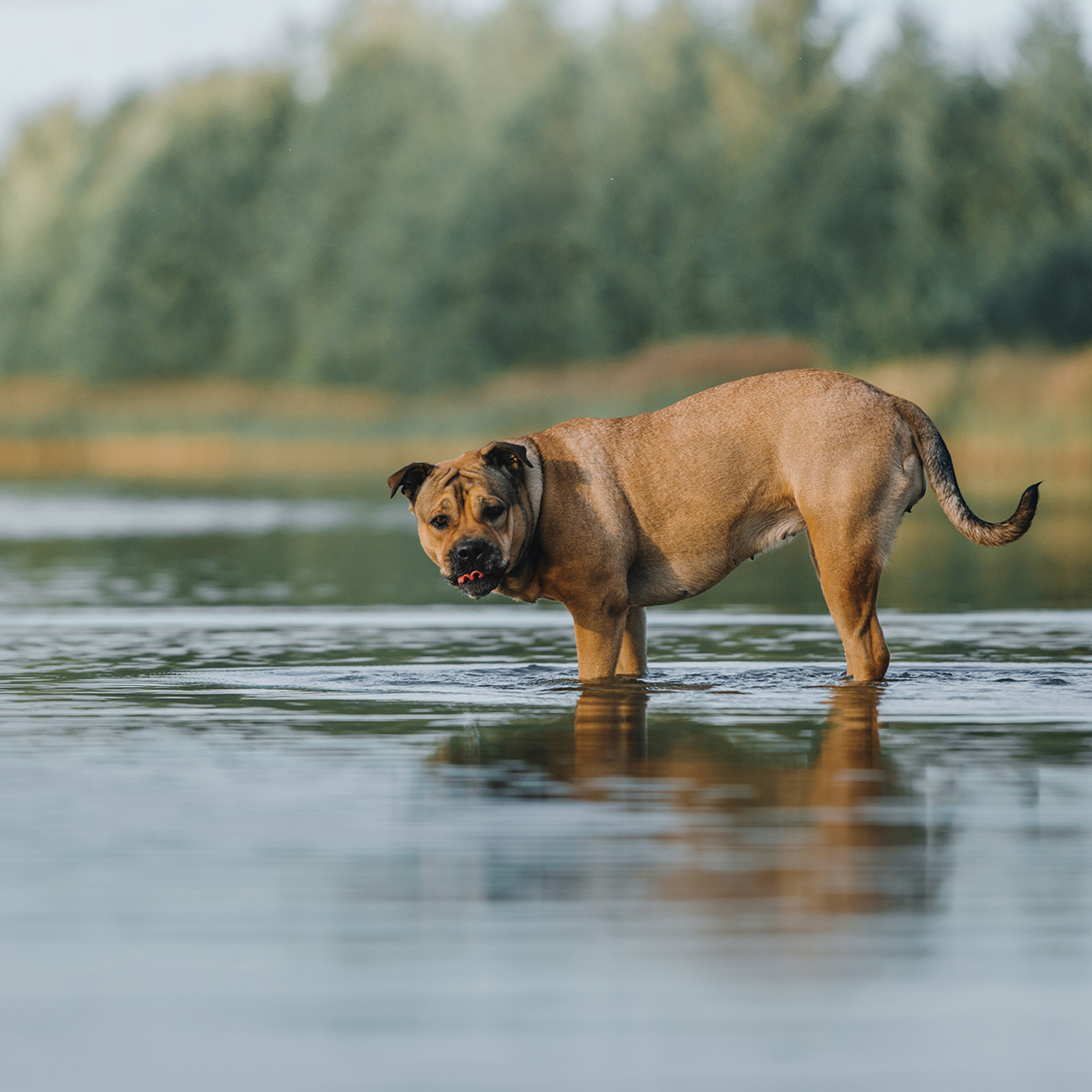 Ка де бо Лина. Фотограф Анна Тюрина