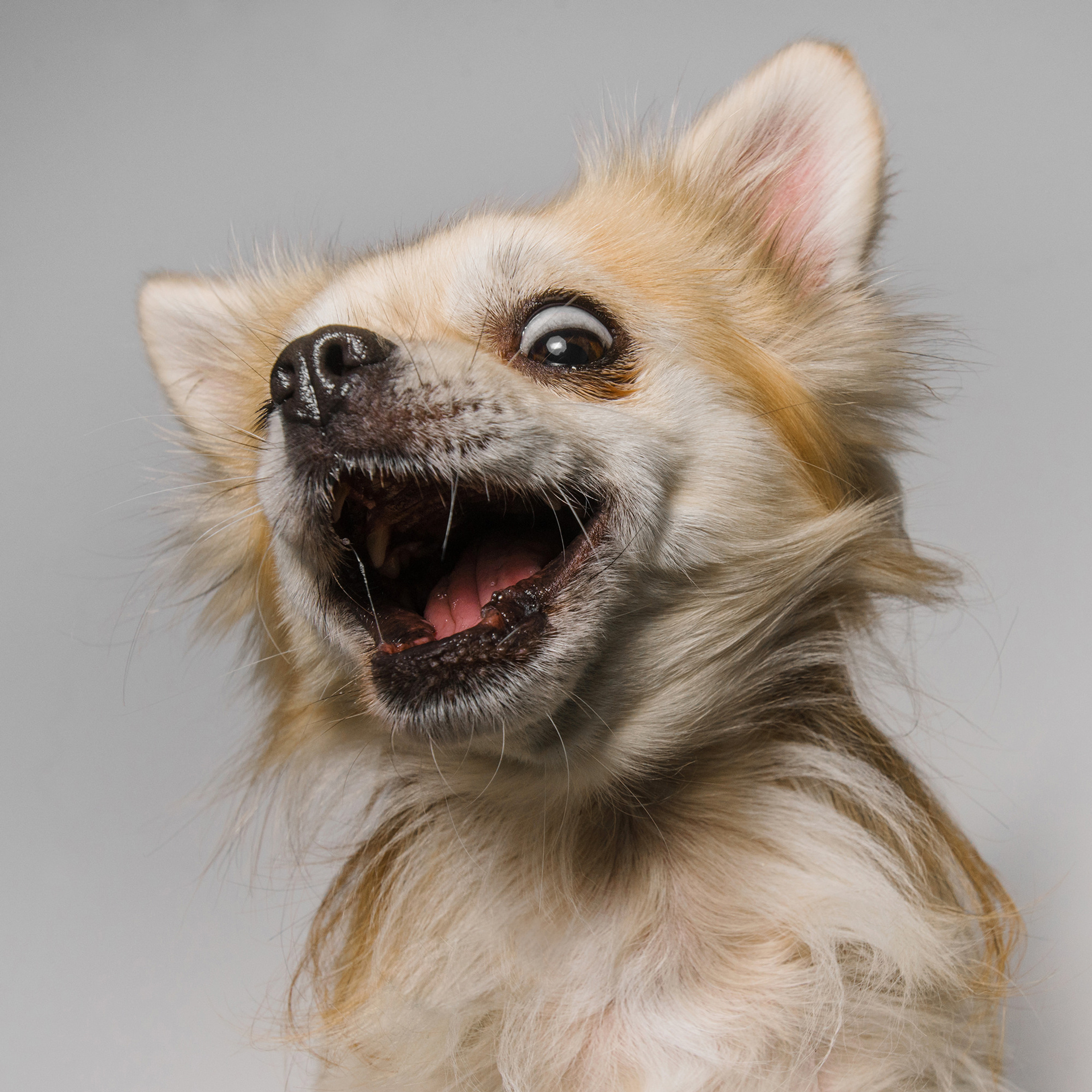 Съёмка с кусочком. Фотограф Анна Тюрина