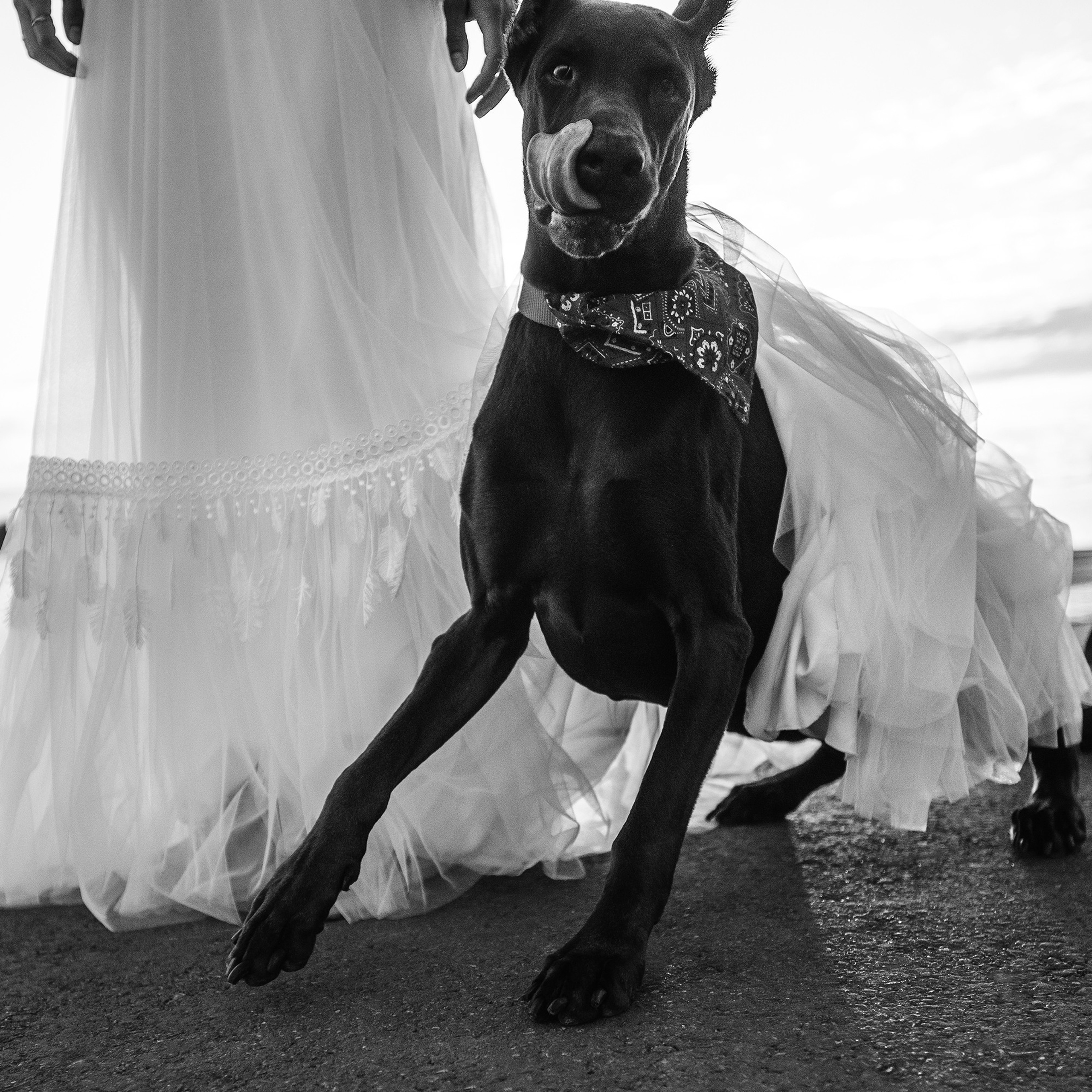 Алина, Линар и Детта в Нижнем Новгороде. Фотограф Анна Тюрина