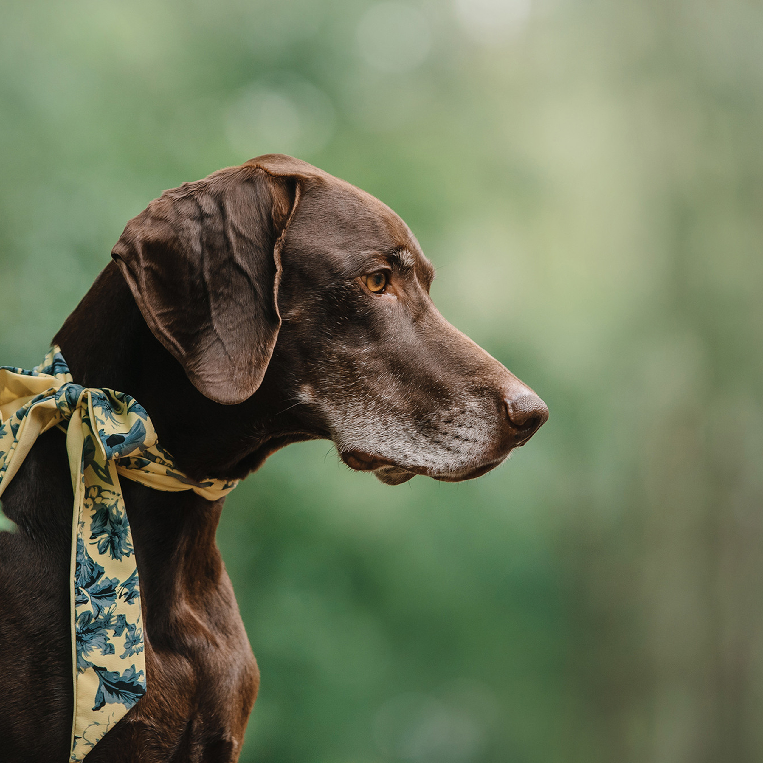 Ира и Клайд. Фотограф Анна Тюрина