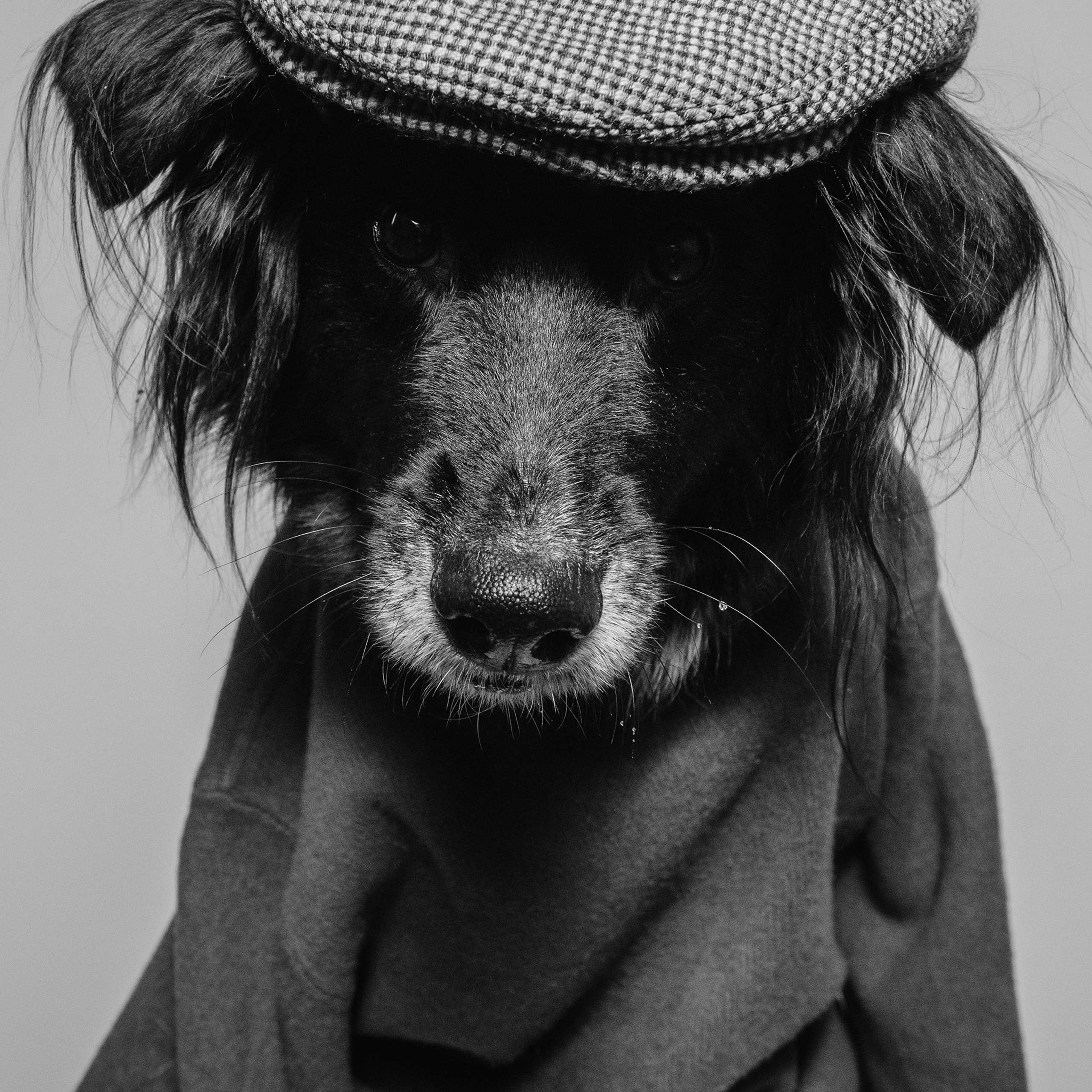 Фотодень в студии. Фотограф Анна Тюрина