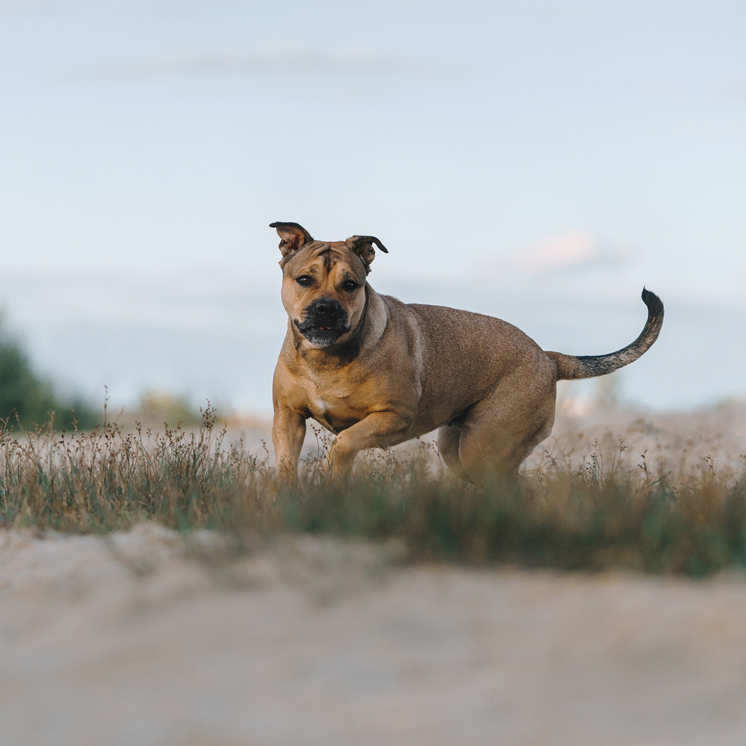 Ка де бо Лина. Фотограф Анна Тюрина