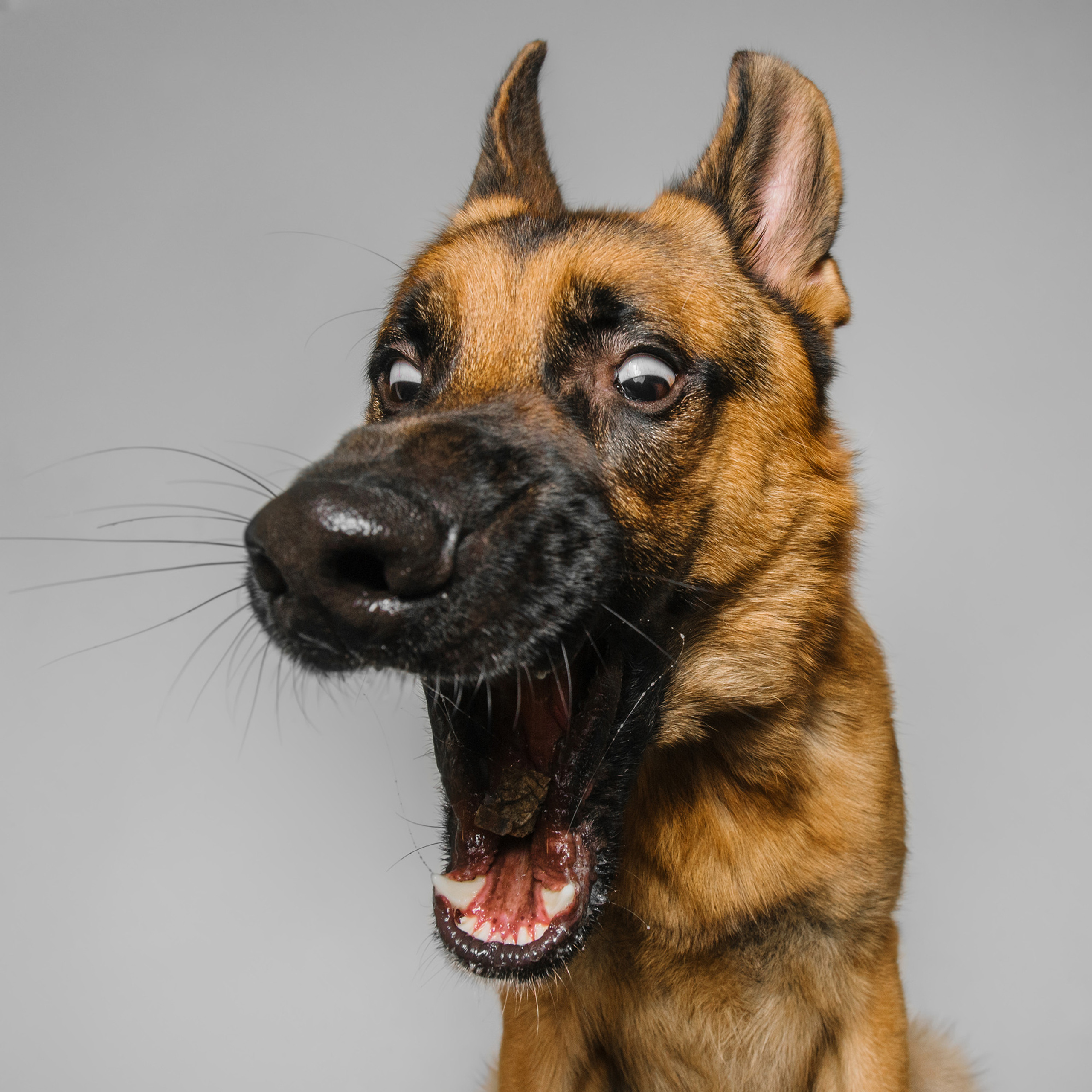 Съёмка с кусочком. Фотограф Анна Тюрина