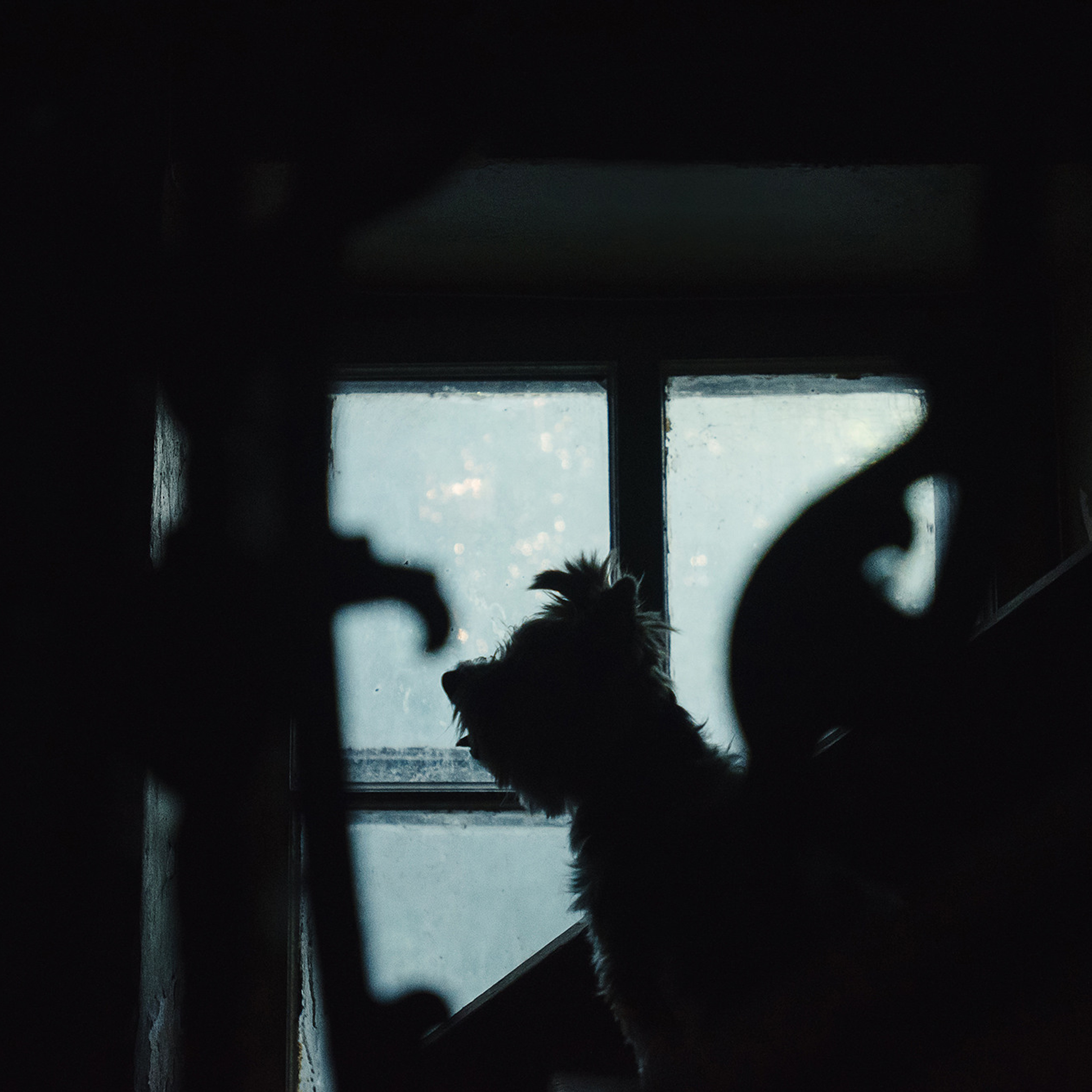 Алина и Яся. Фотограф Анна Тюрина