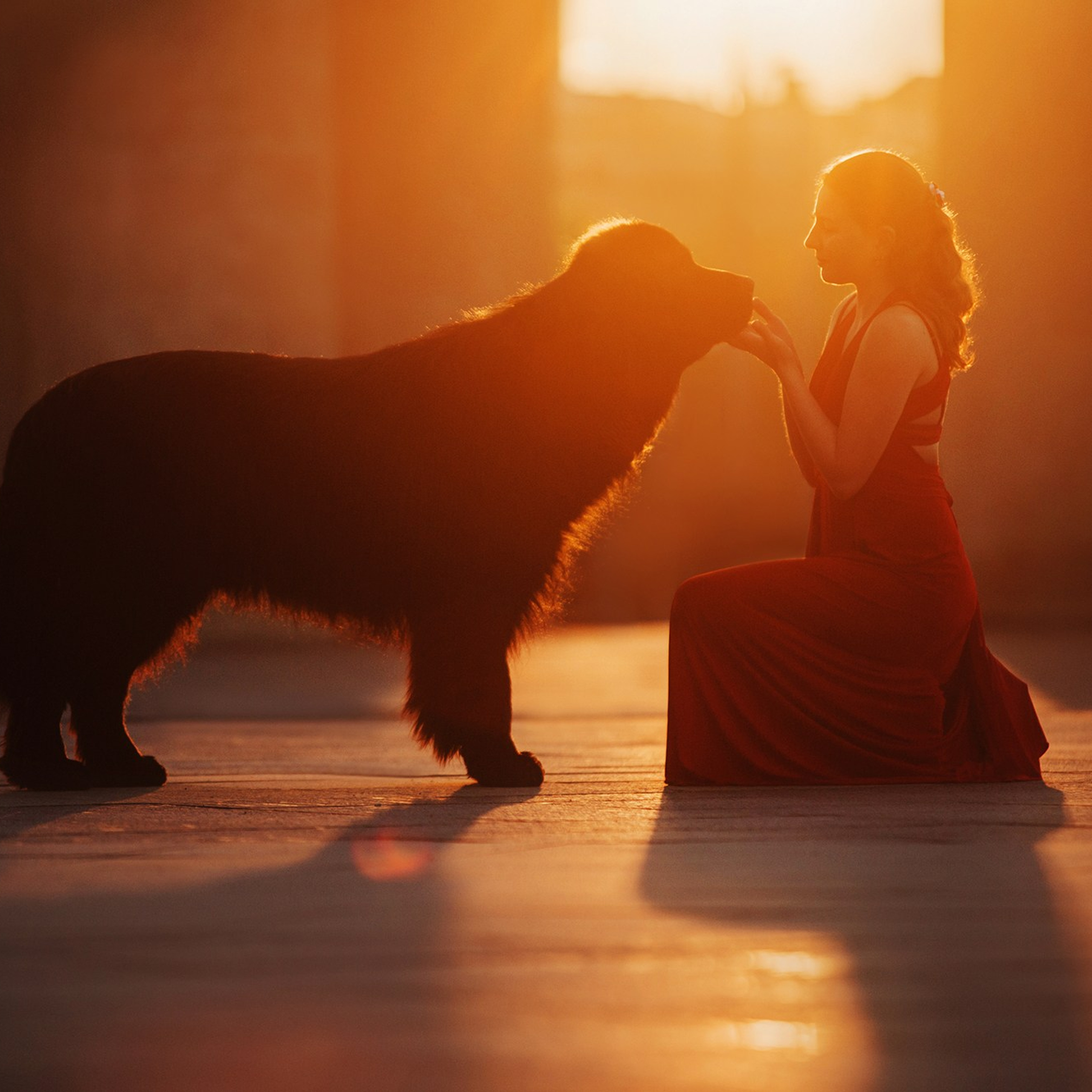 Человек и его друзья. Фотограф Анна Тюрина