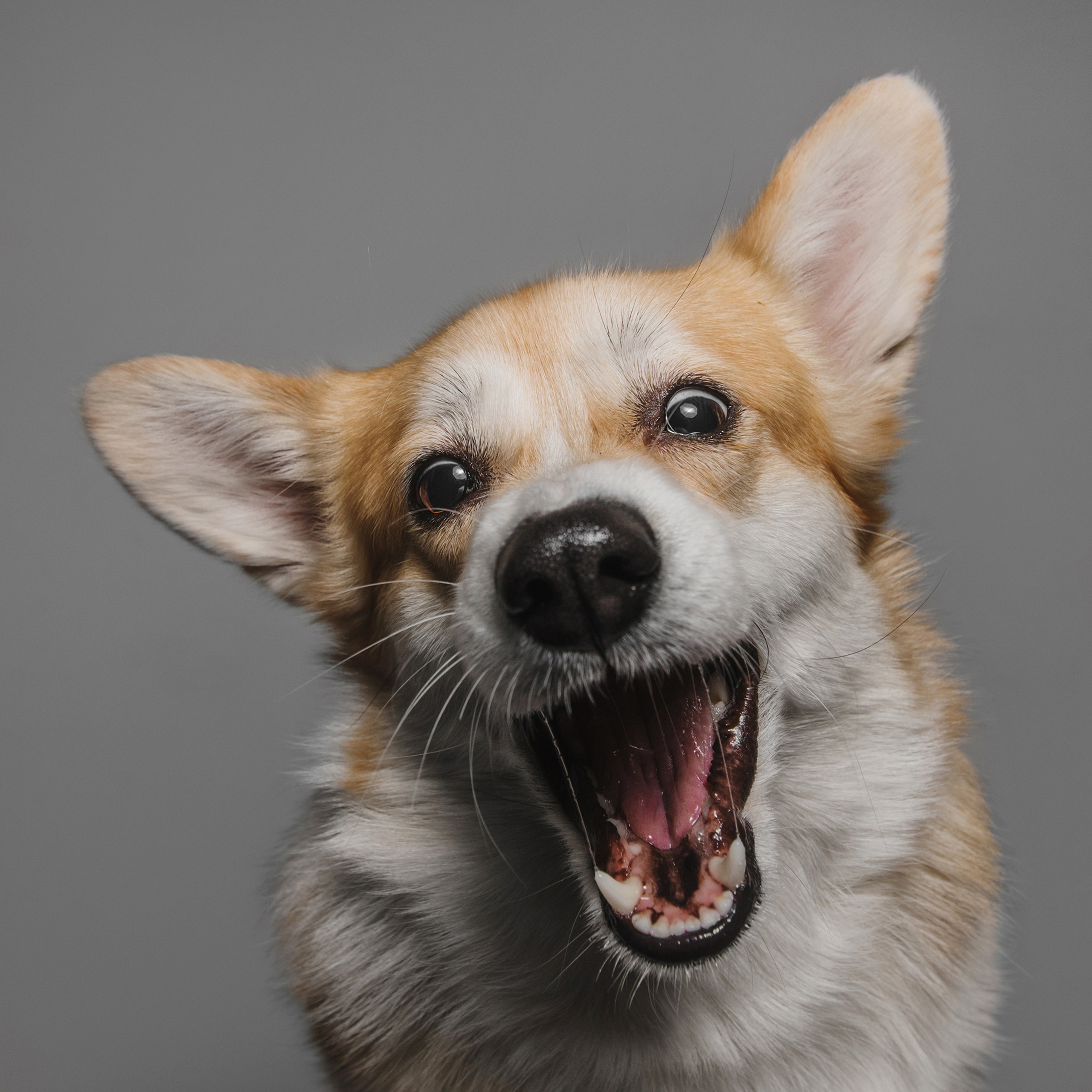 Фотодень в студии. Фотограф Анна Тюрина