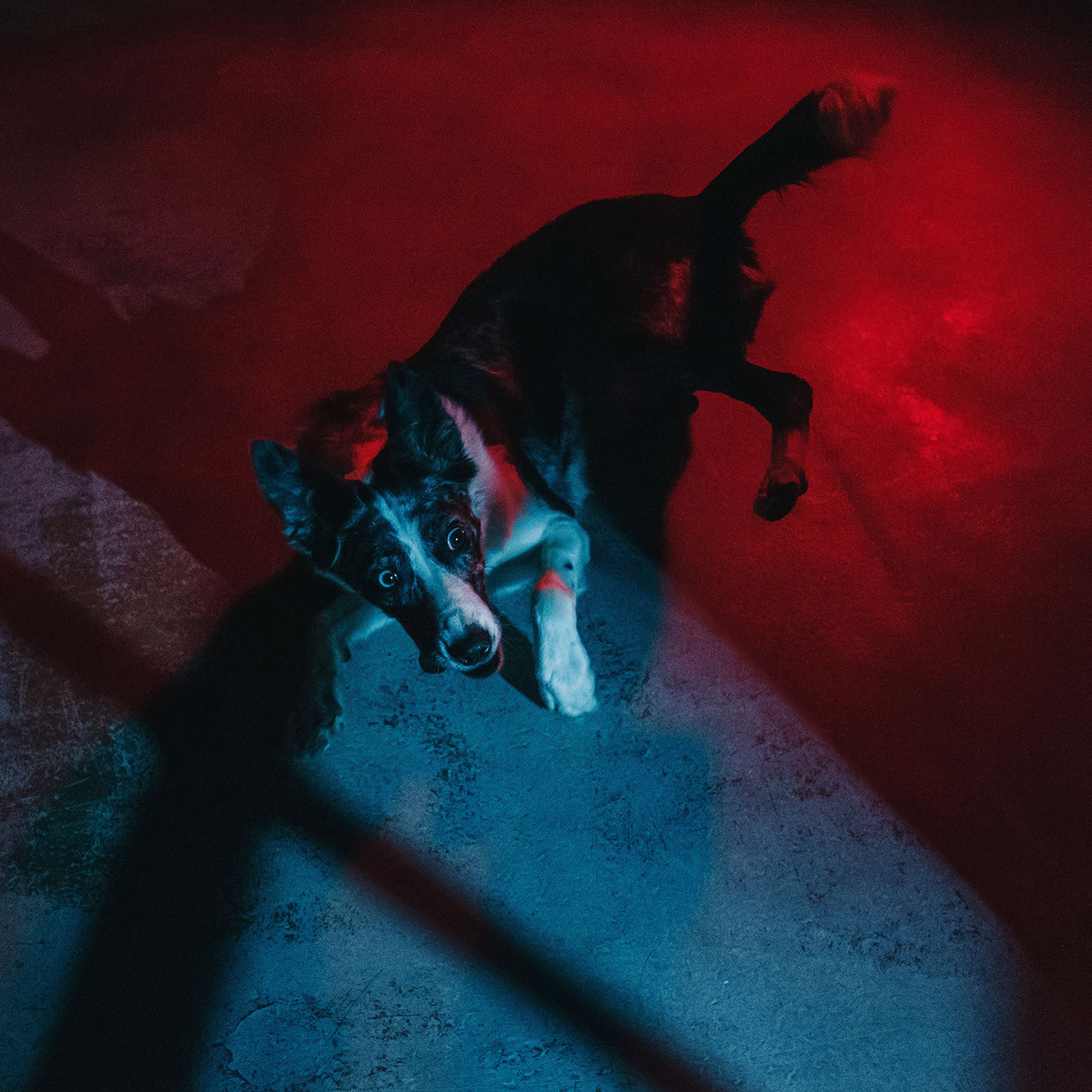 ПОРТФОЛИО. Фотограф Анна Тюрина