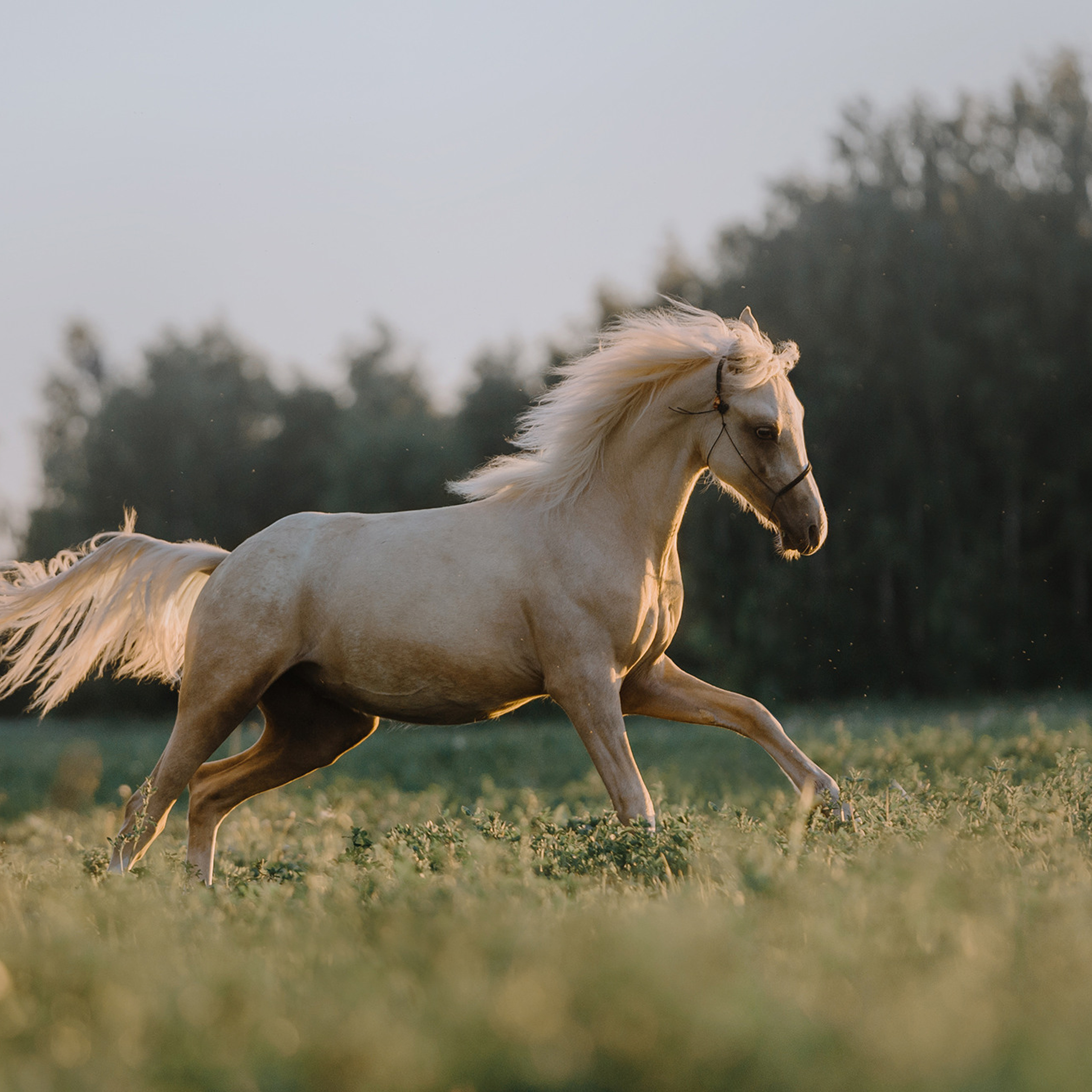 Евгения и семья. Фотограф Анна Тюрина