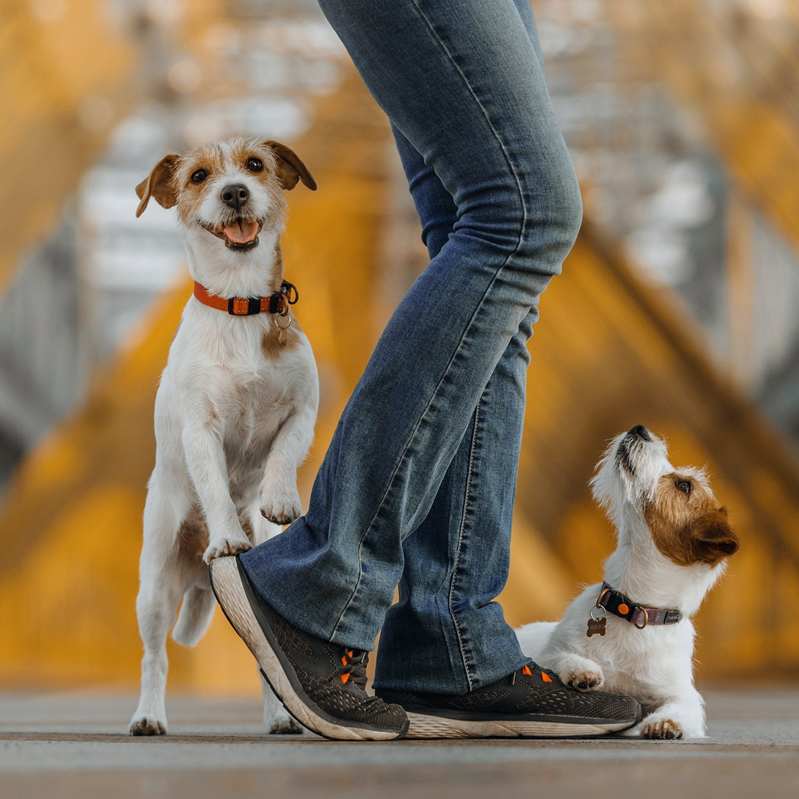 Человек и его друзья. Фотограф Анна Тюрина