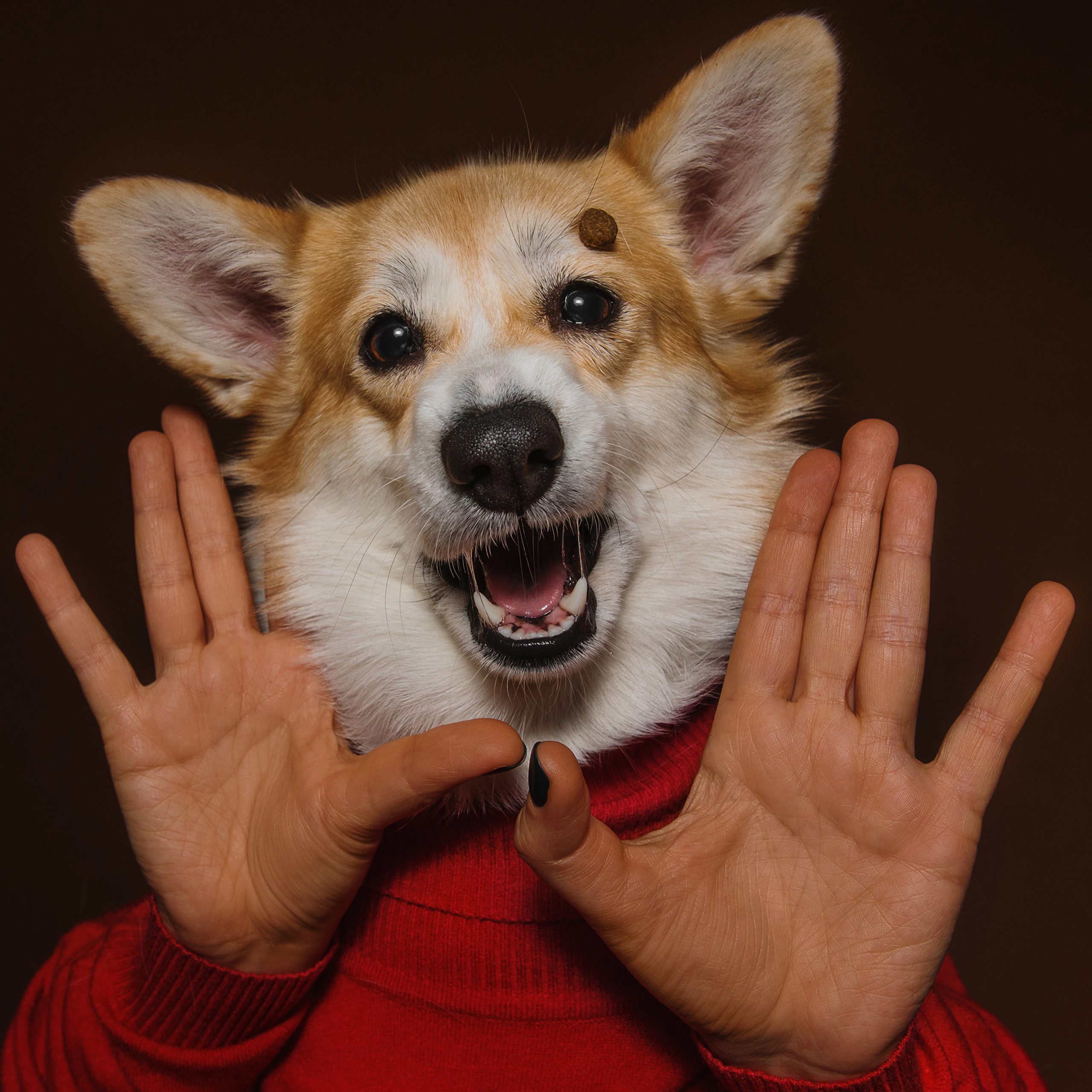 Фотодень в студии. Фотограф Анна Тюрина
