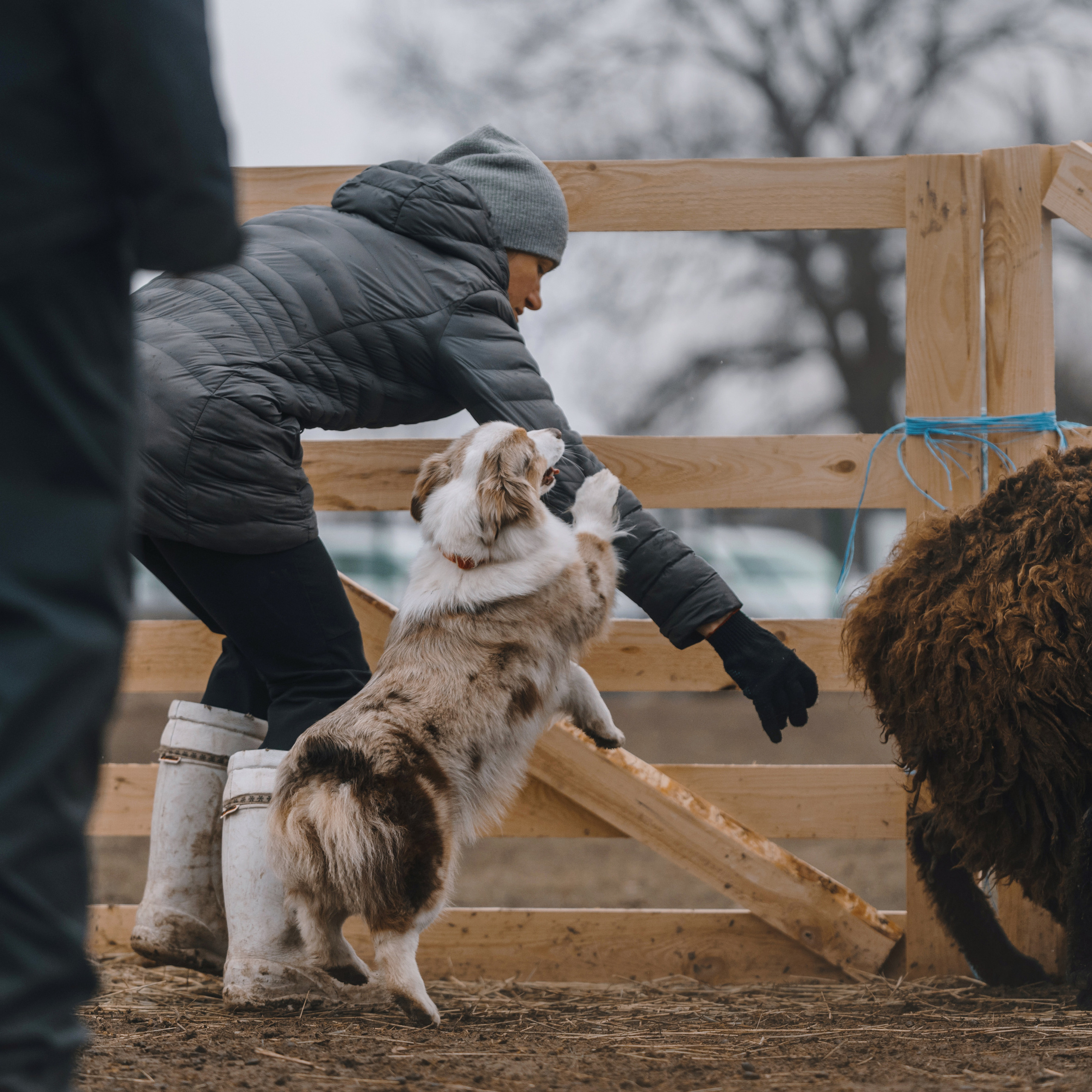 Пастьба. Фотограф Анна Тюрина