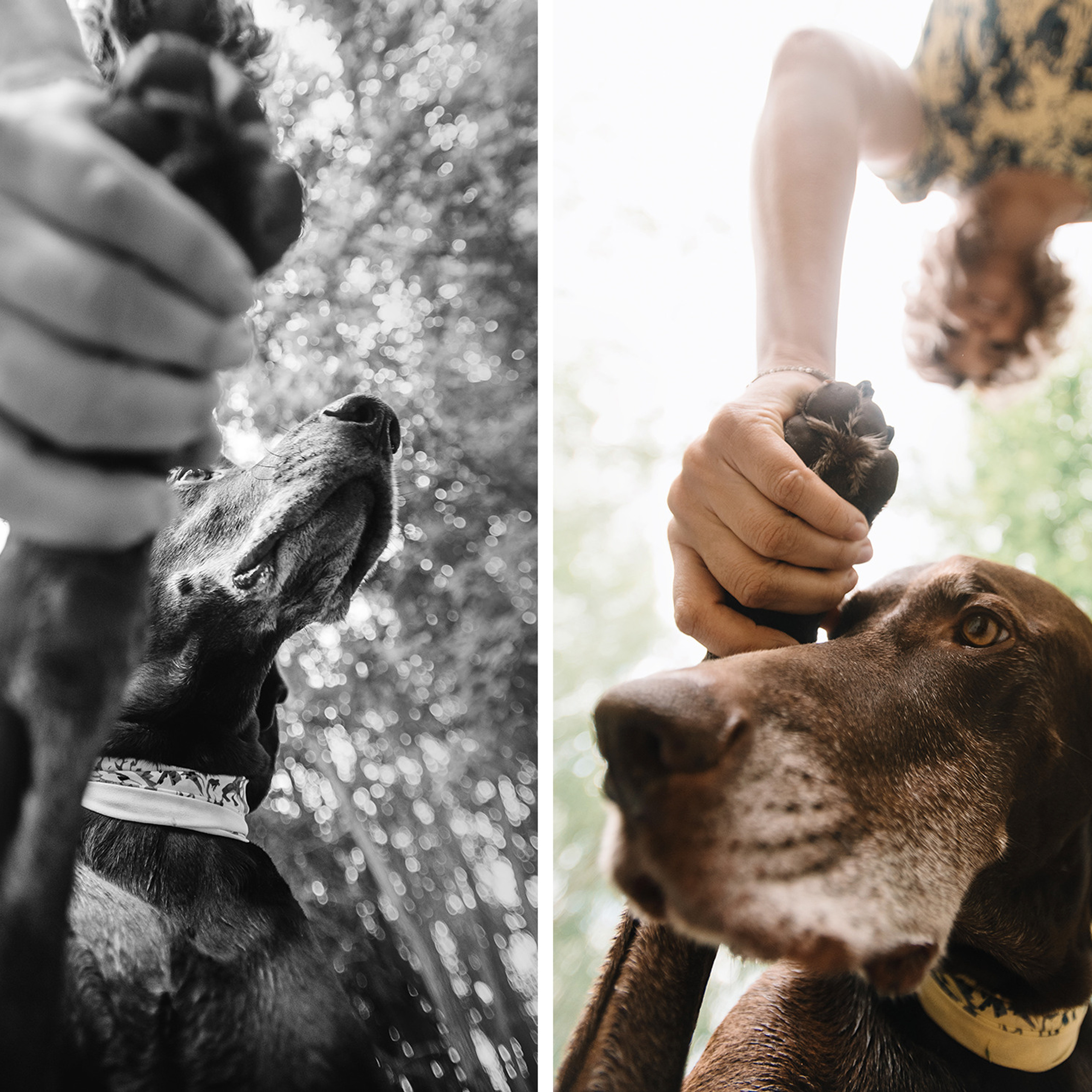 Ира и Клайд. Фотограф Анна Тюрина