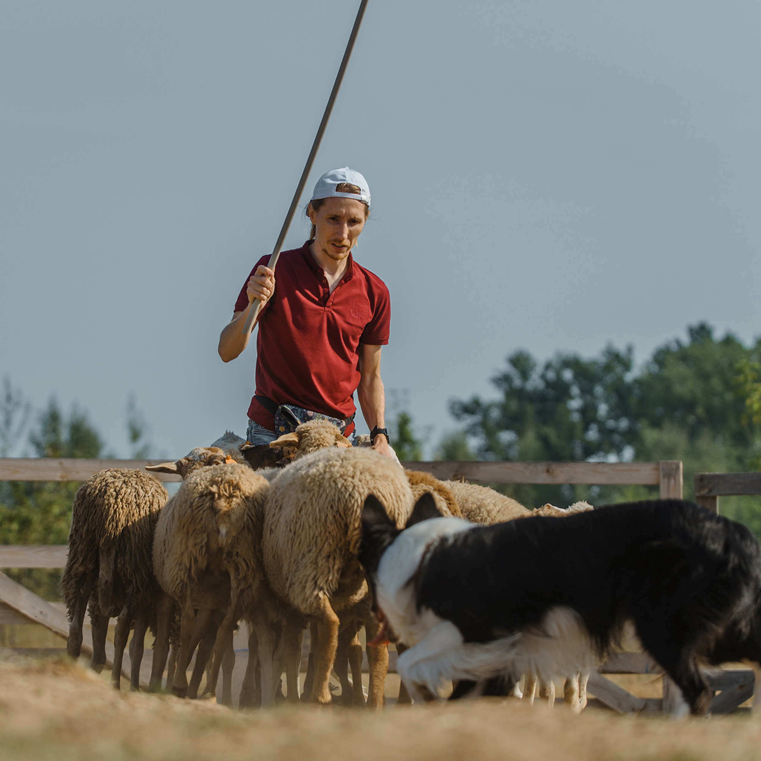 Пастьба. Фотограф Анна Тюрина