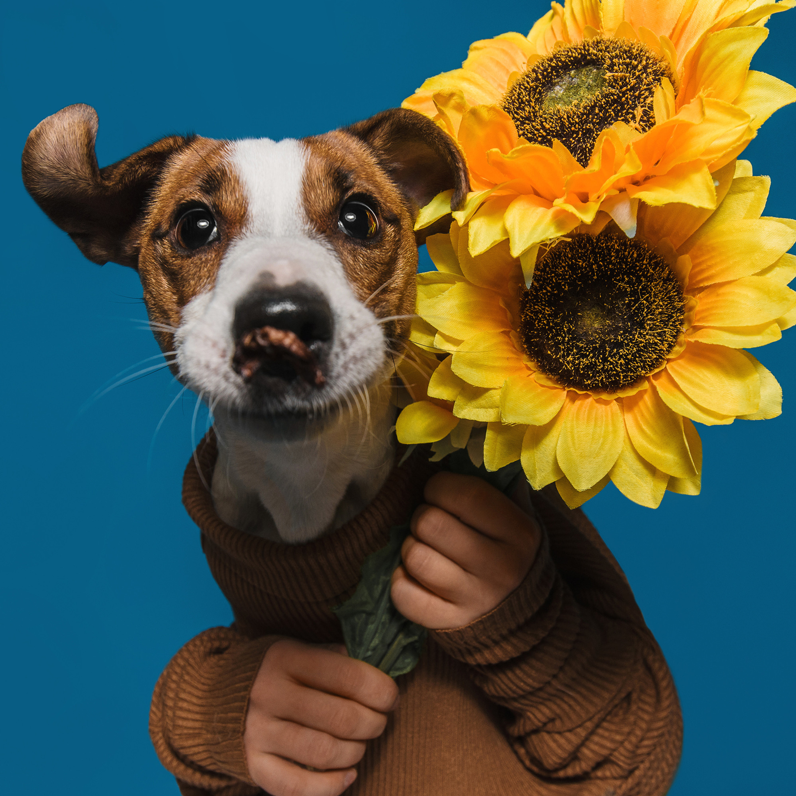 Фотодень в студии. Фотограф Анна Тюрина